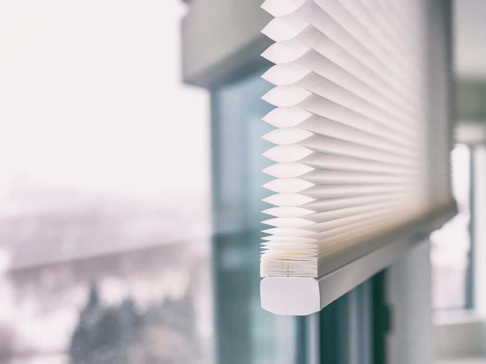 close up shot of a paper window shade partially rolled up in front of a window