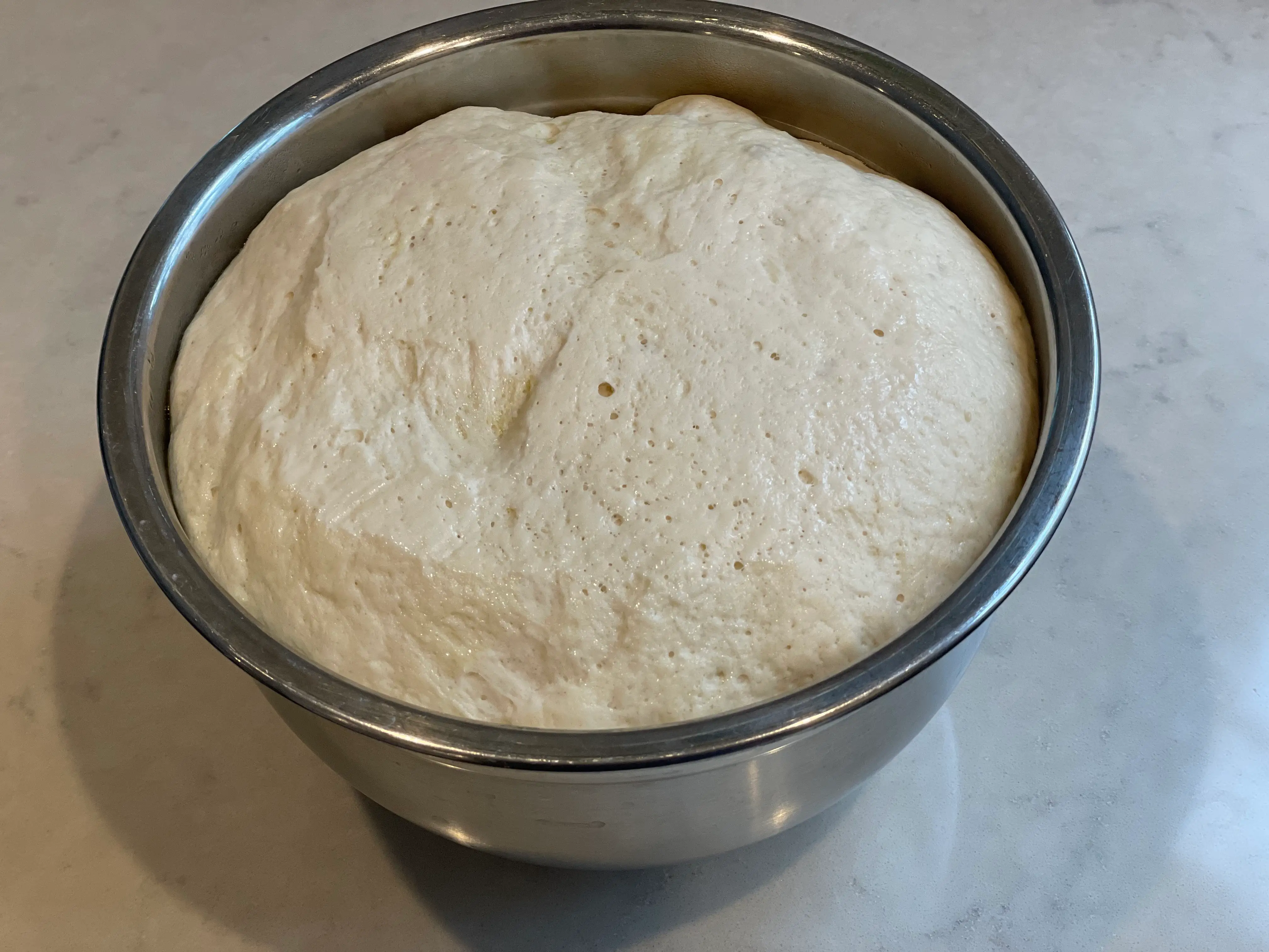 bread dough risen in a large mixing bowl