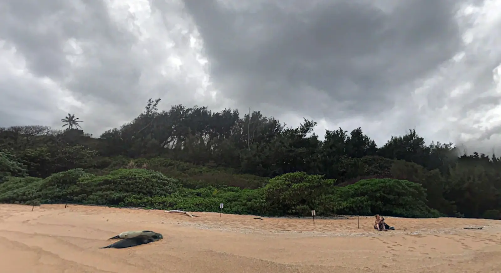 beach near Koolau Ranch