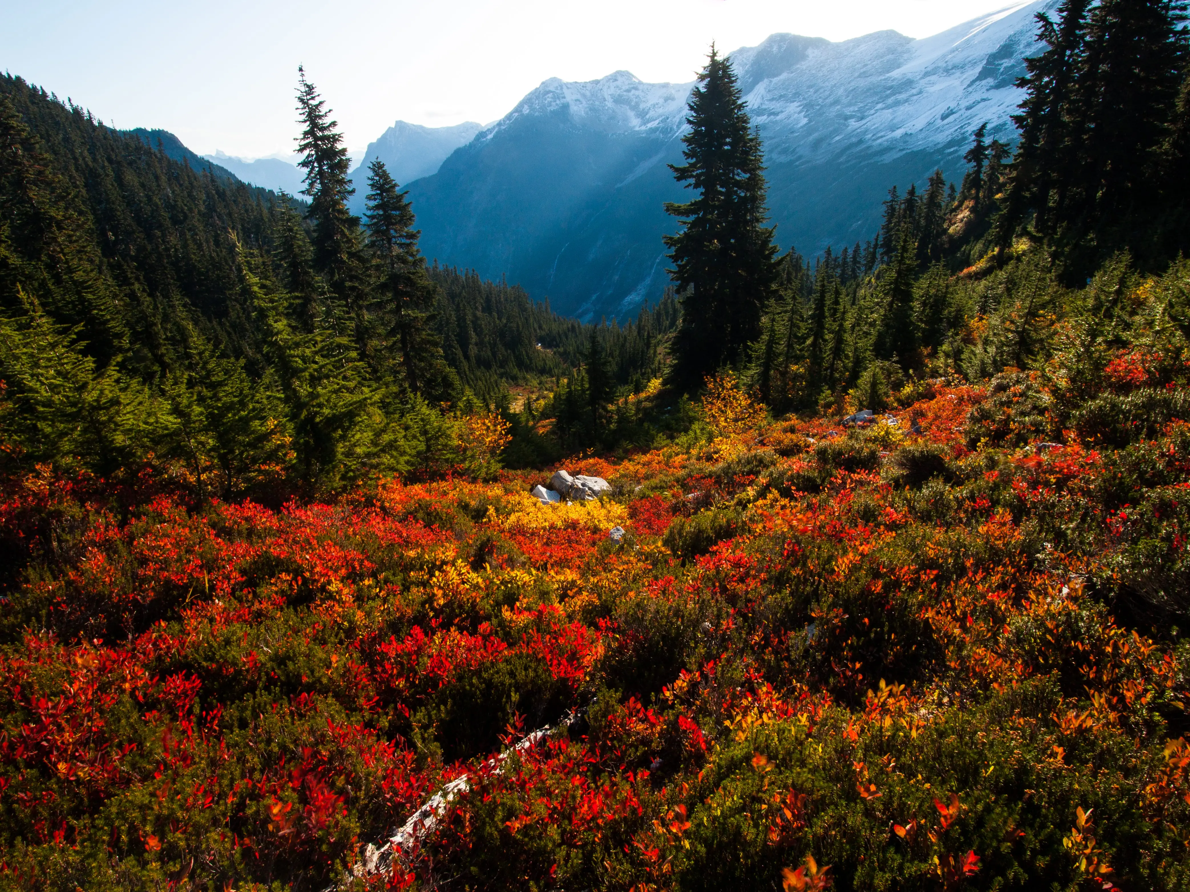 Autumn sunrise at Whatcom Pass, North Cascades National Park, Washington.