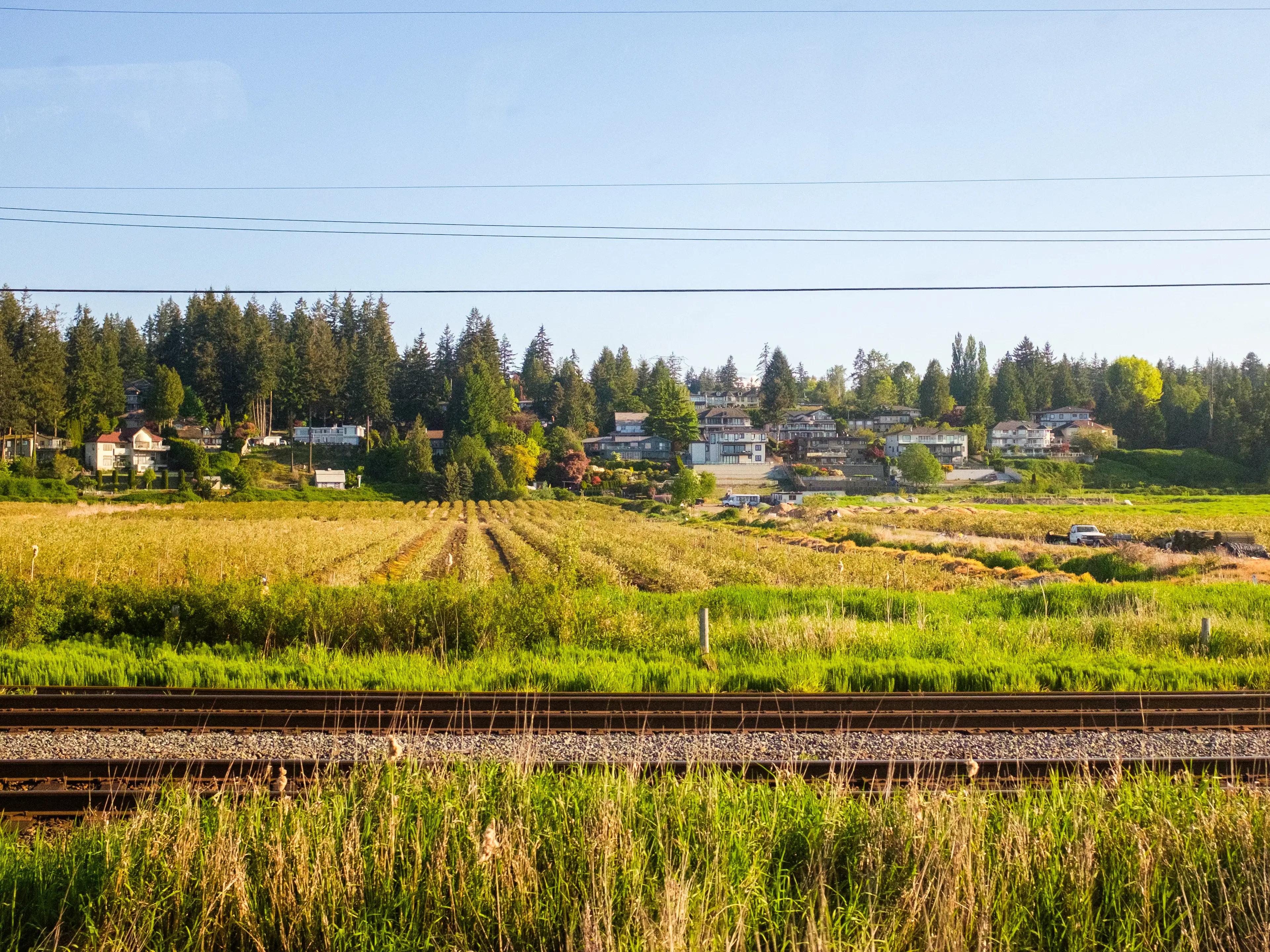 Train tracks in front of a field of crops and trees and houses in the background