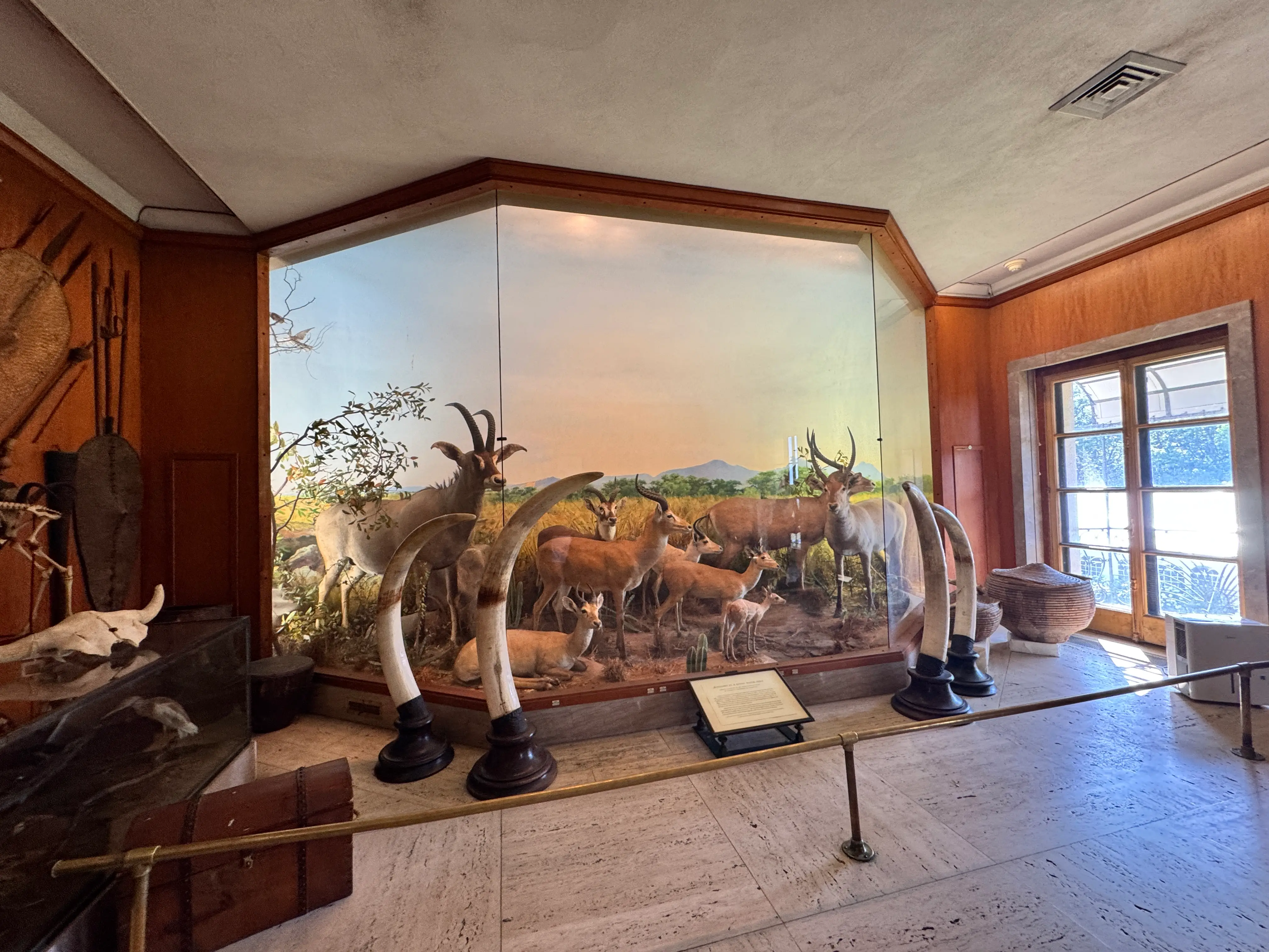 museum in vanderbilt