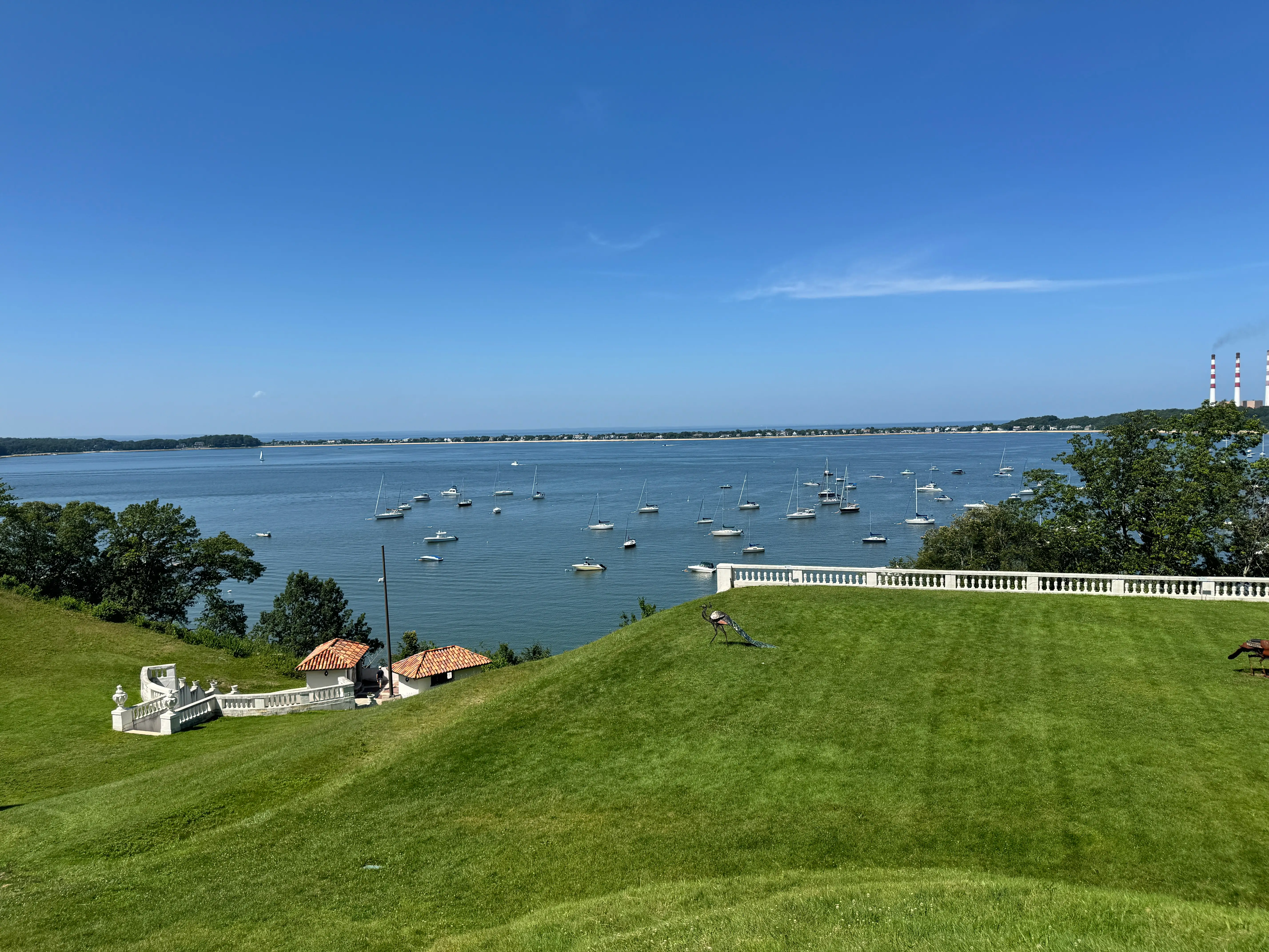 view from backyard