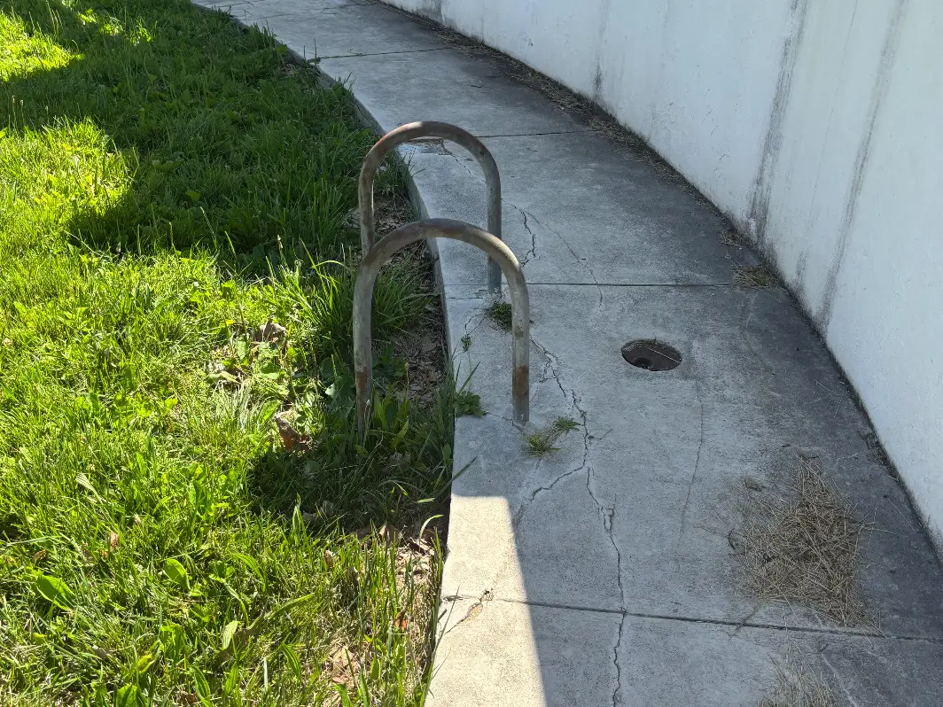 pool ladder