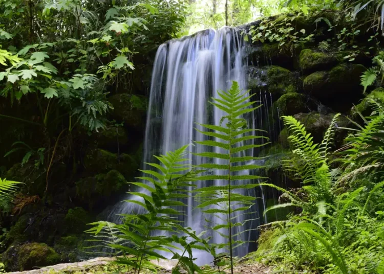 I’ve lived in Florida for over 25 years. Skip the major cities and spend time in these 5 gorgeous state parks instead.