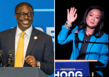 How mainstream Democrats pulled off a big upset against a democratic socialist