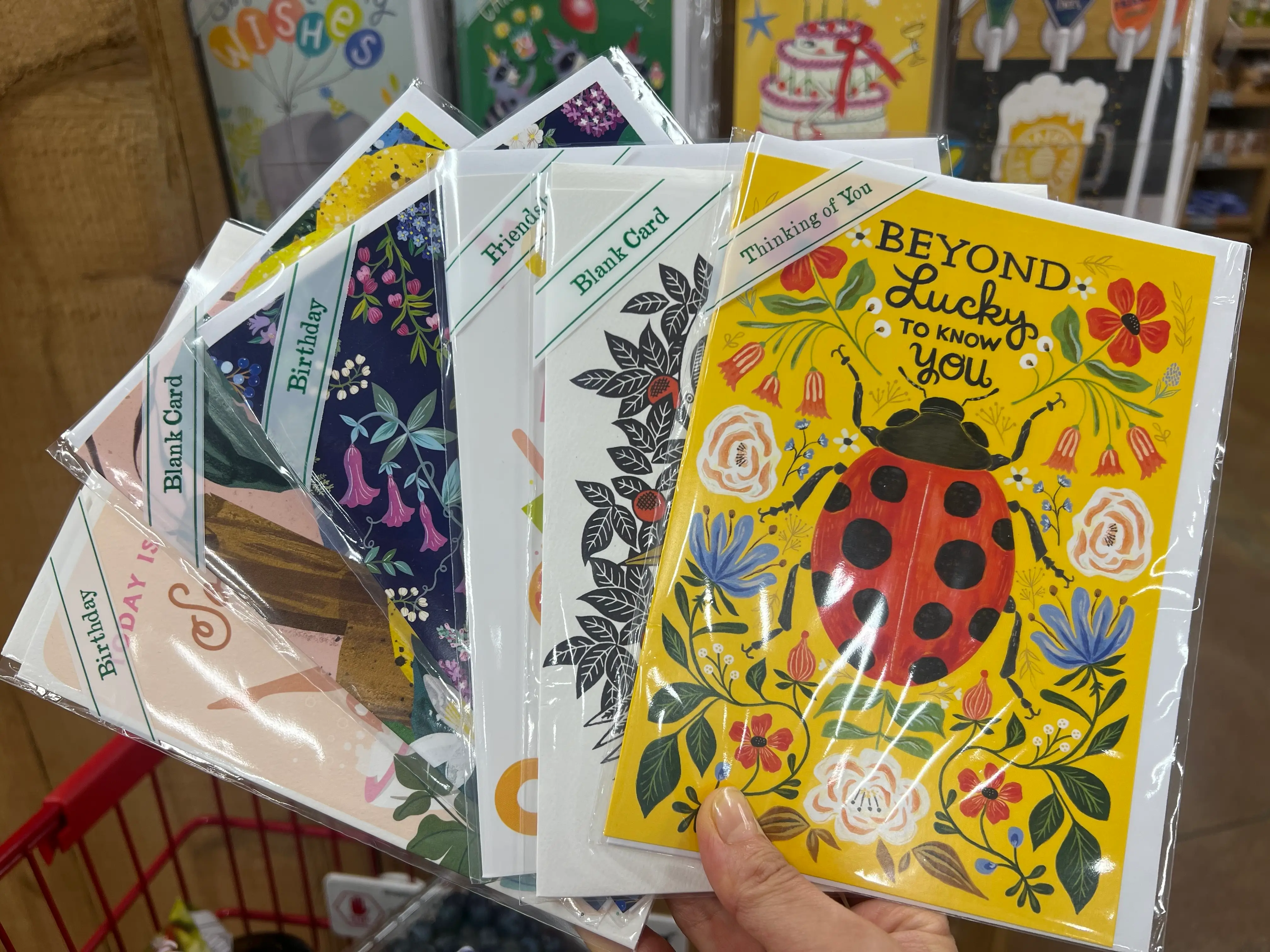 Hand holding Trader Joe's greeting cards in store