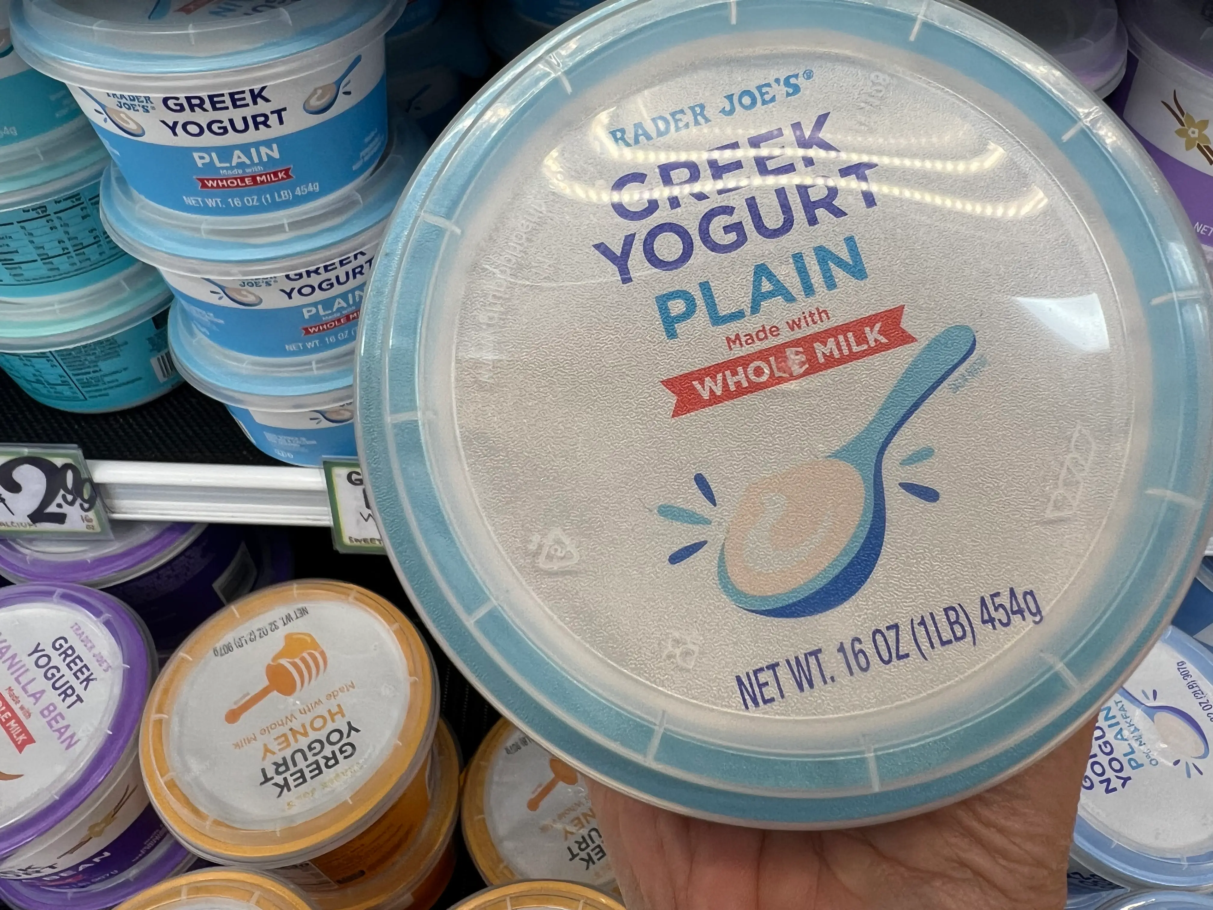Trader Joe's plain Greek yogurt