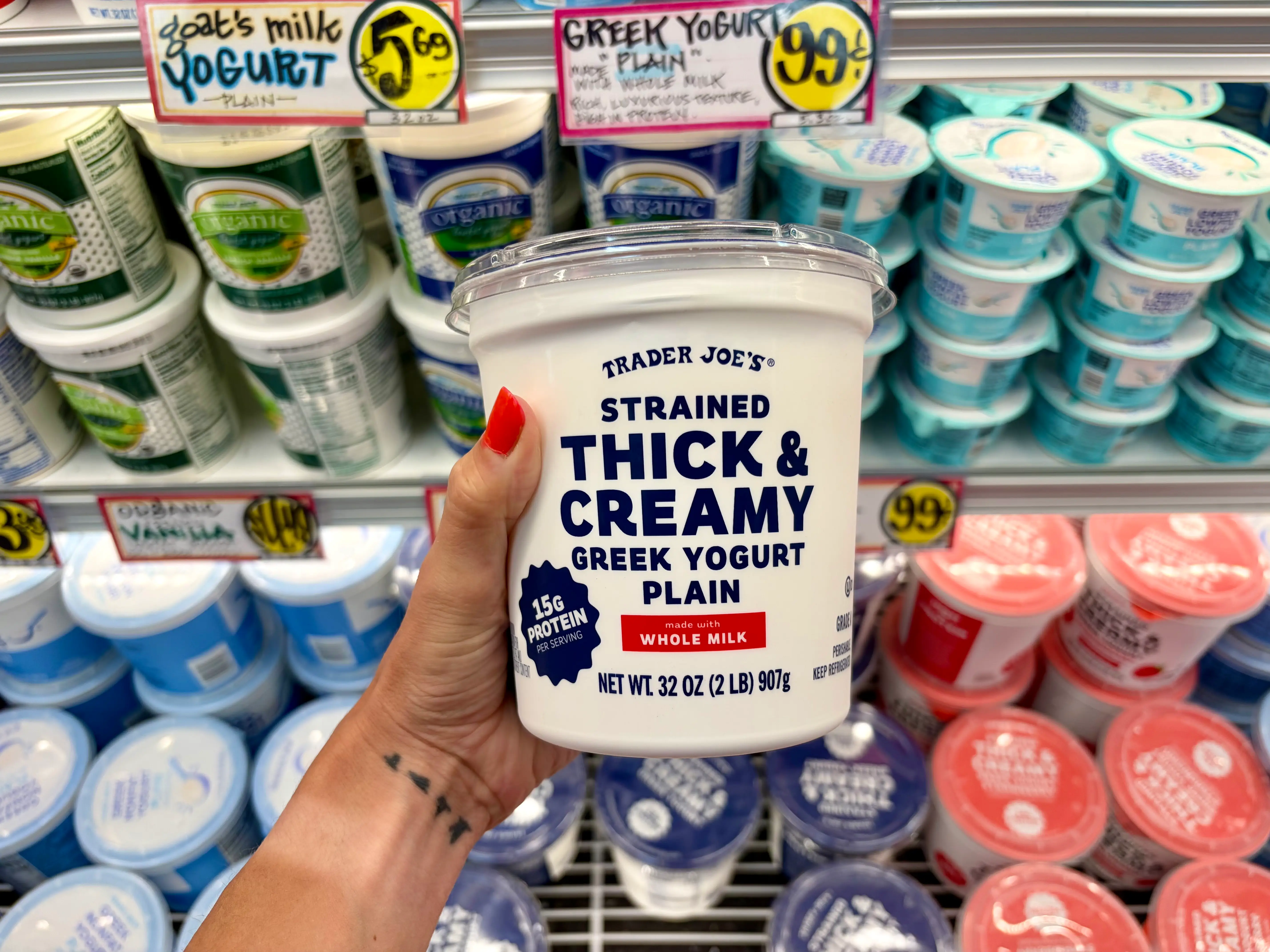 Emily holding a container of Trader Joe's thick and creamy plain Greek yogurt.