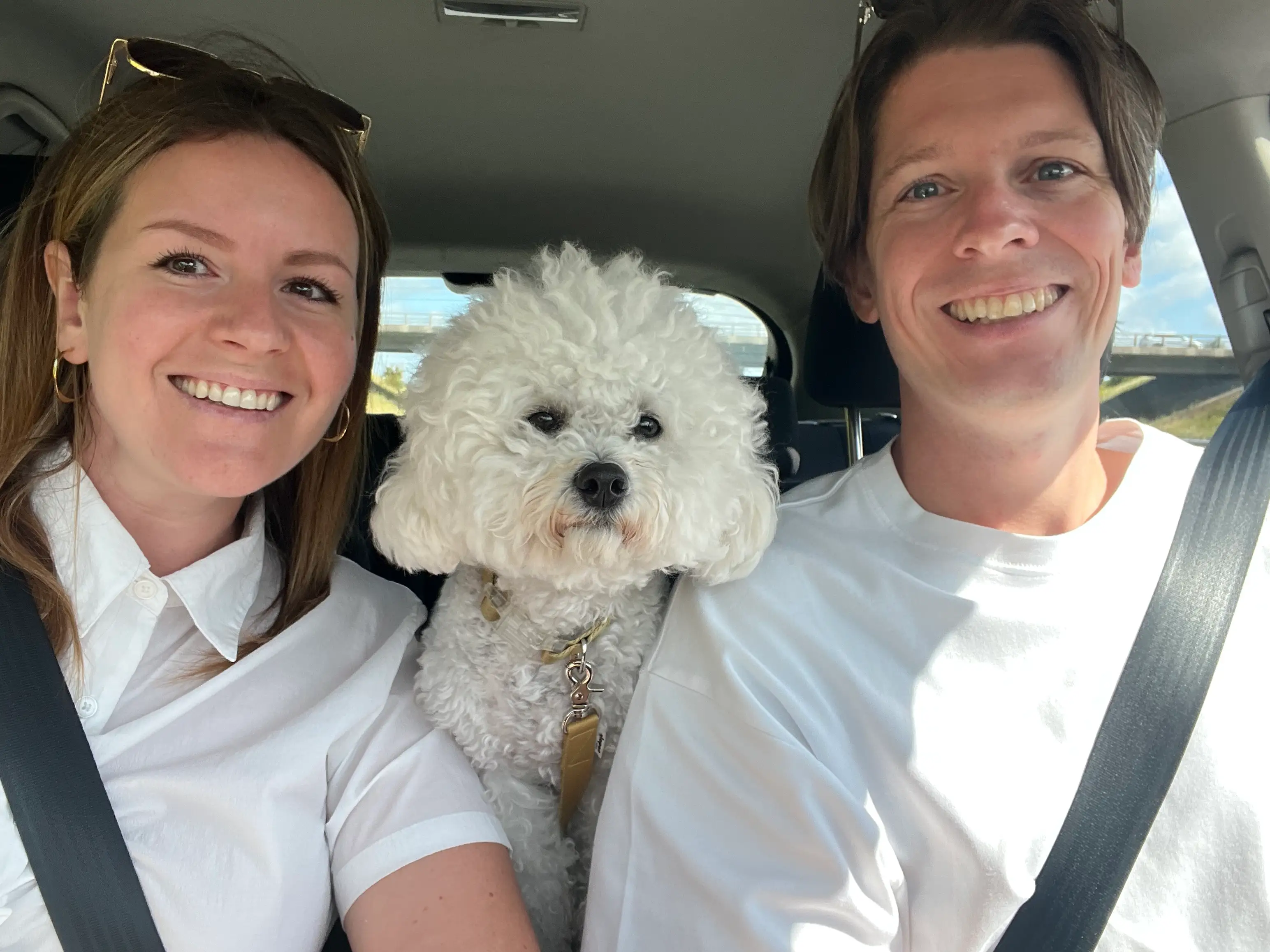 A couple in a car with their dog.