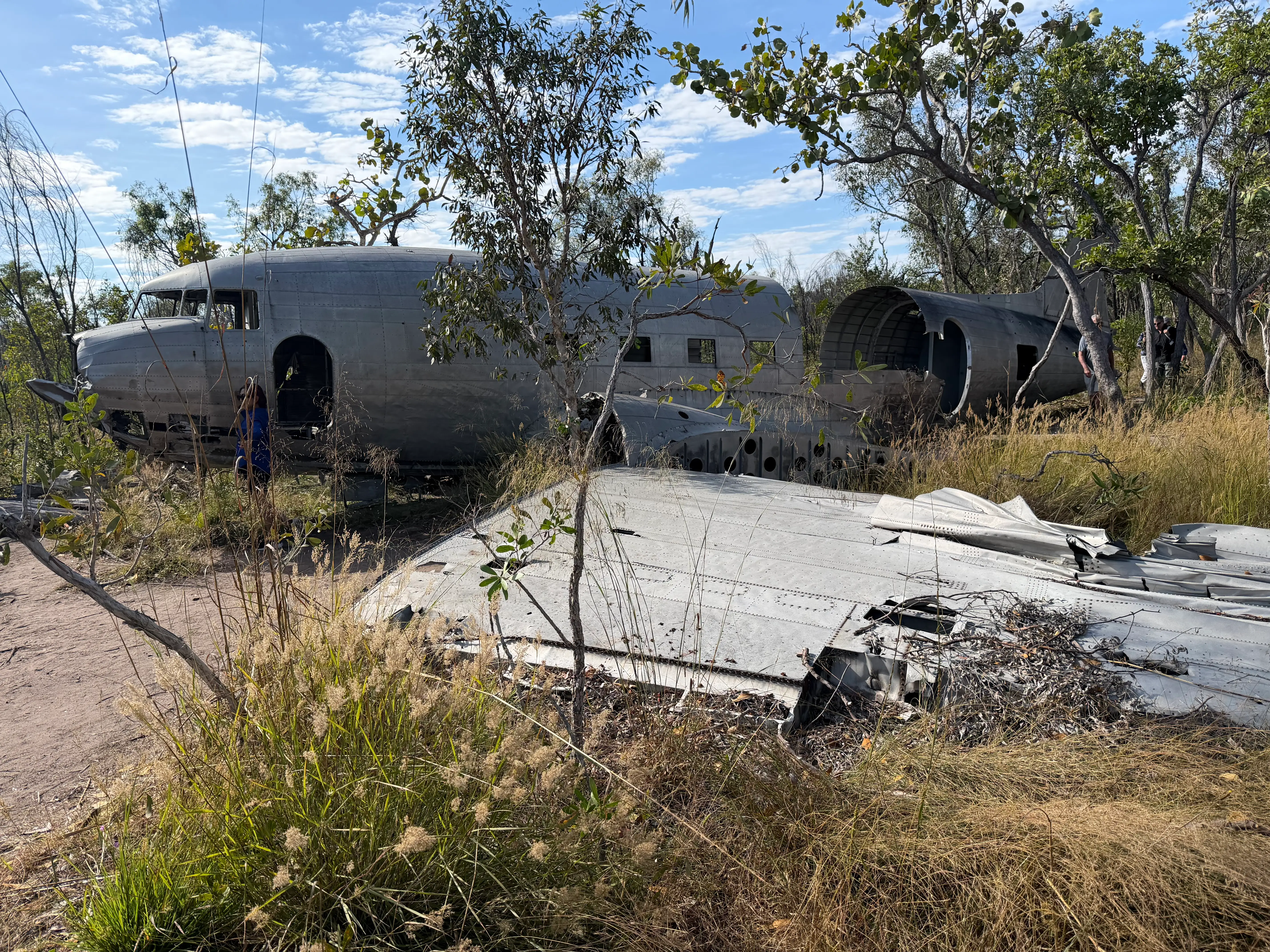 Shell of airplane among weeds