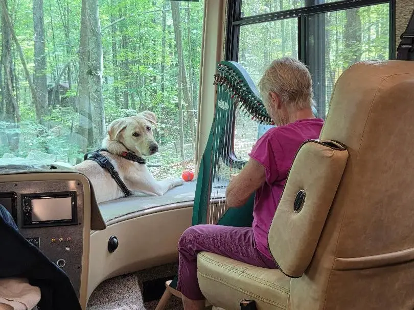 The writer's 90-year-old mother playing the harp inside an RV.