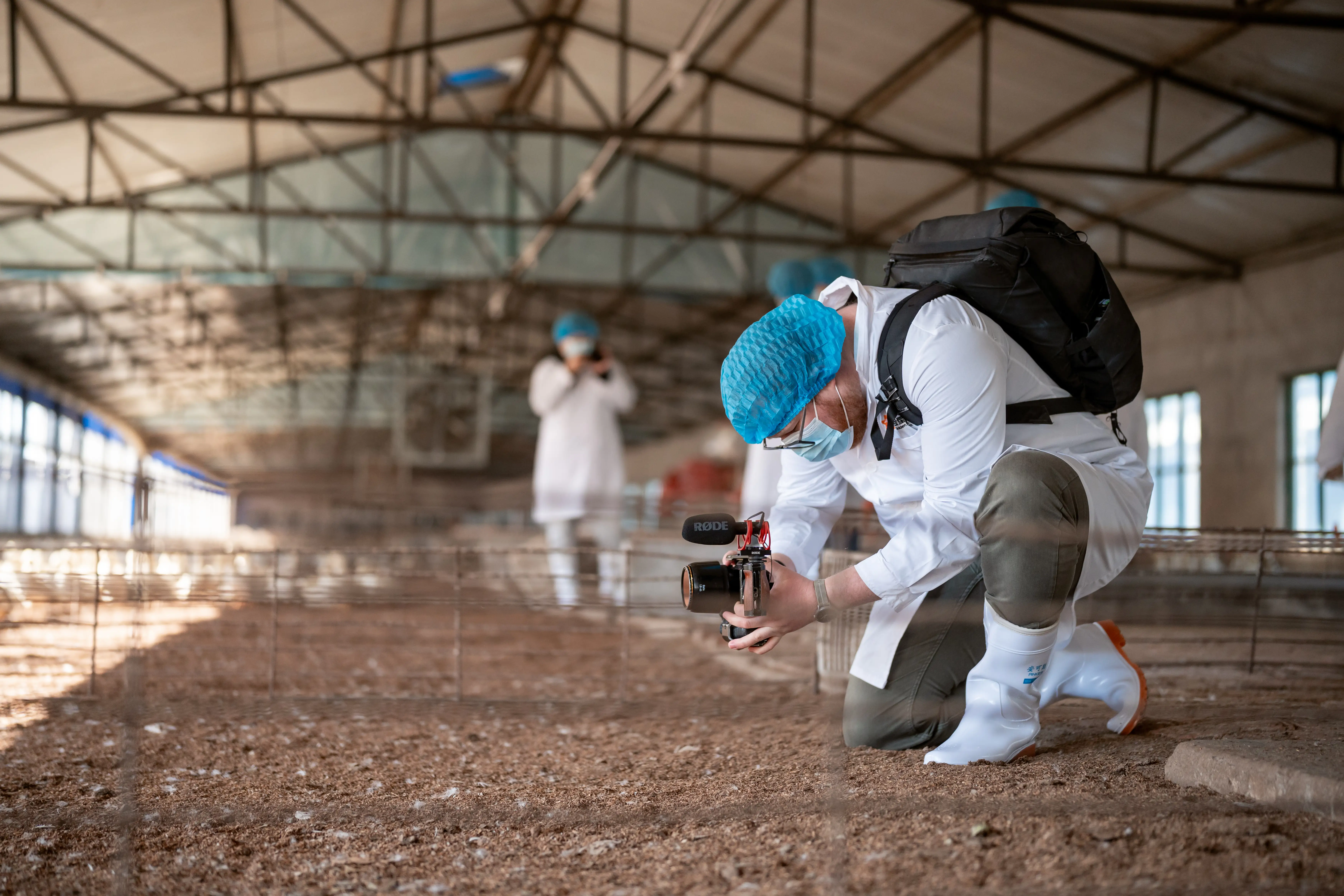 A man photographing a duck farm in Beijing, China.