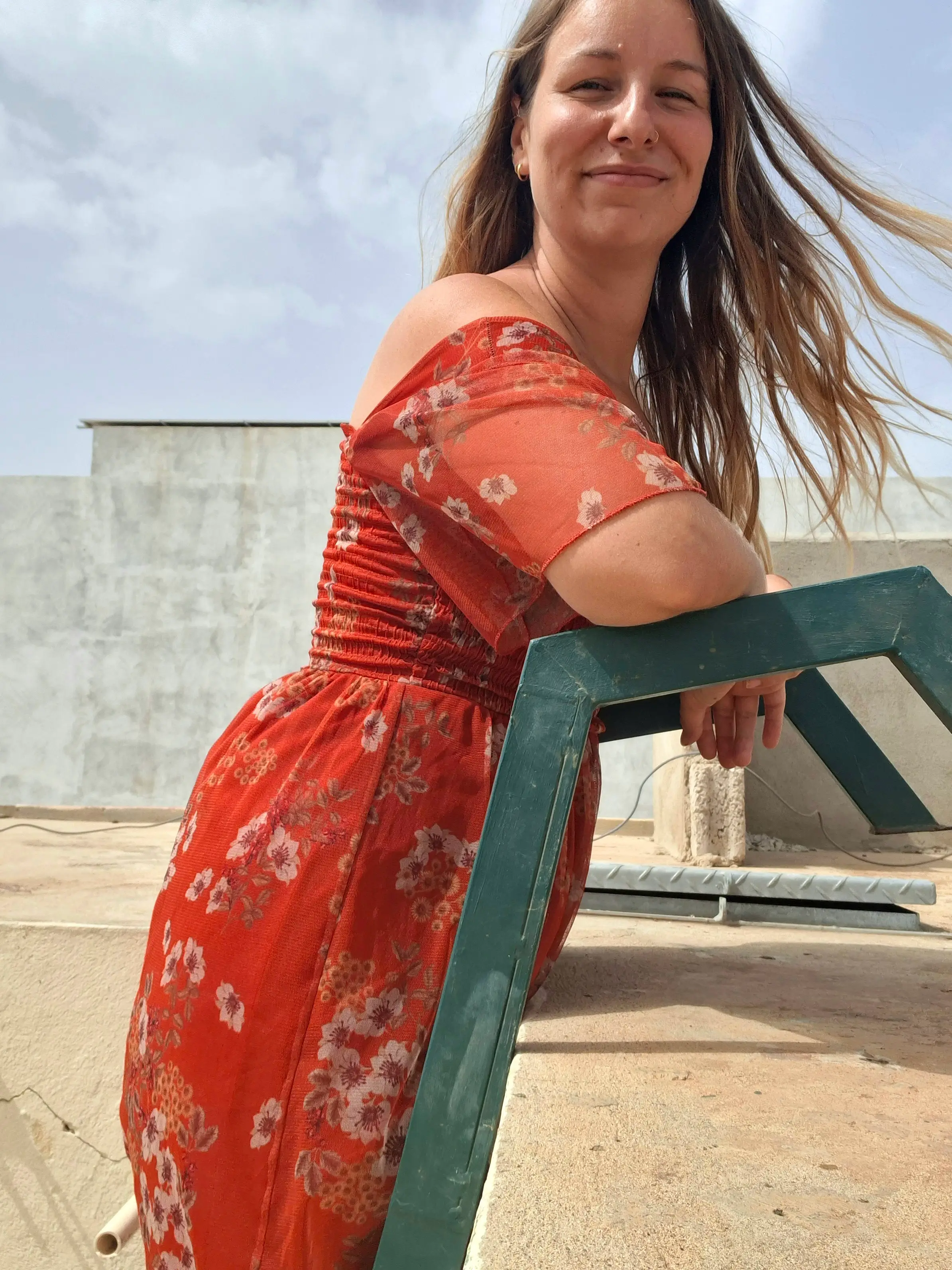 The author poses on a ladder.