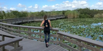 I’ve been to all 50 states. If I had just one day in Florida, here’s how I’d spend it.