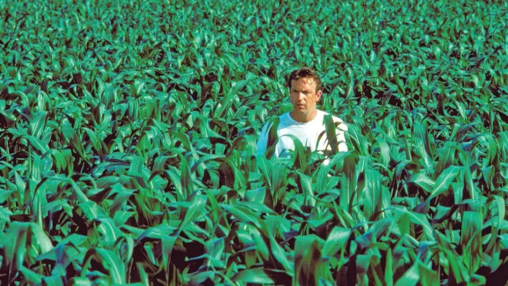 Kevin Costern standing in a corn field