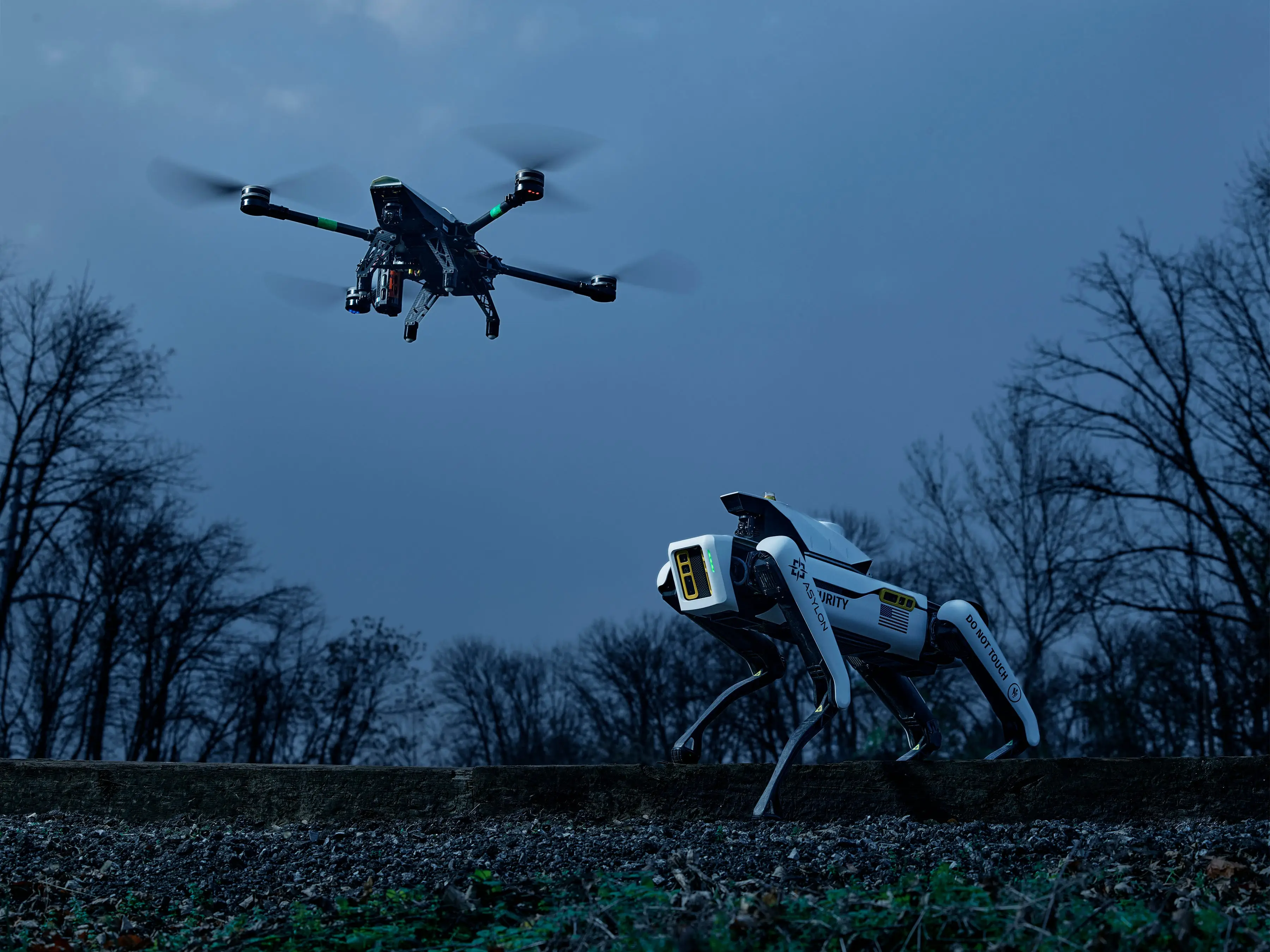 Drone and robot dog