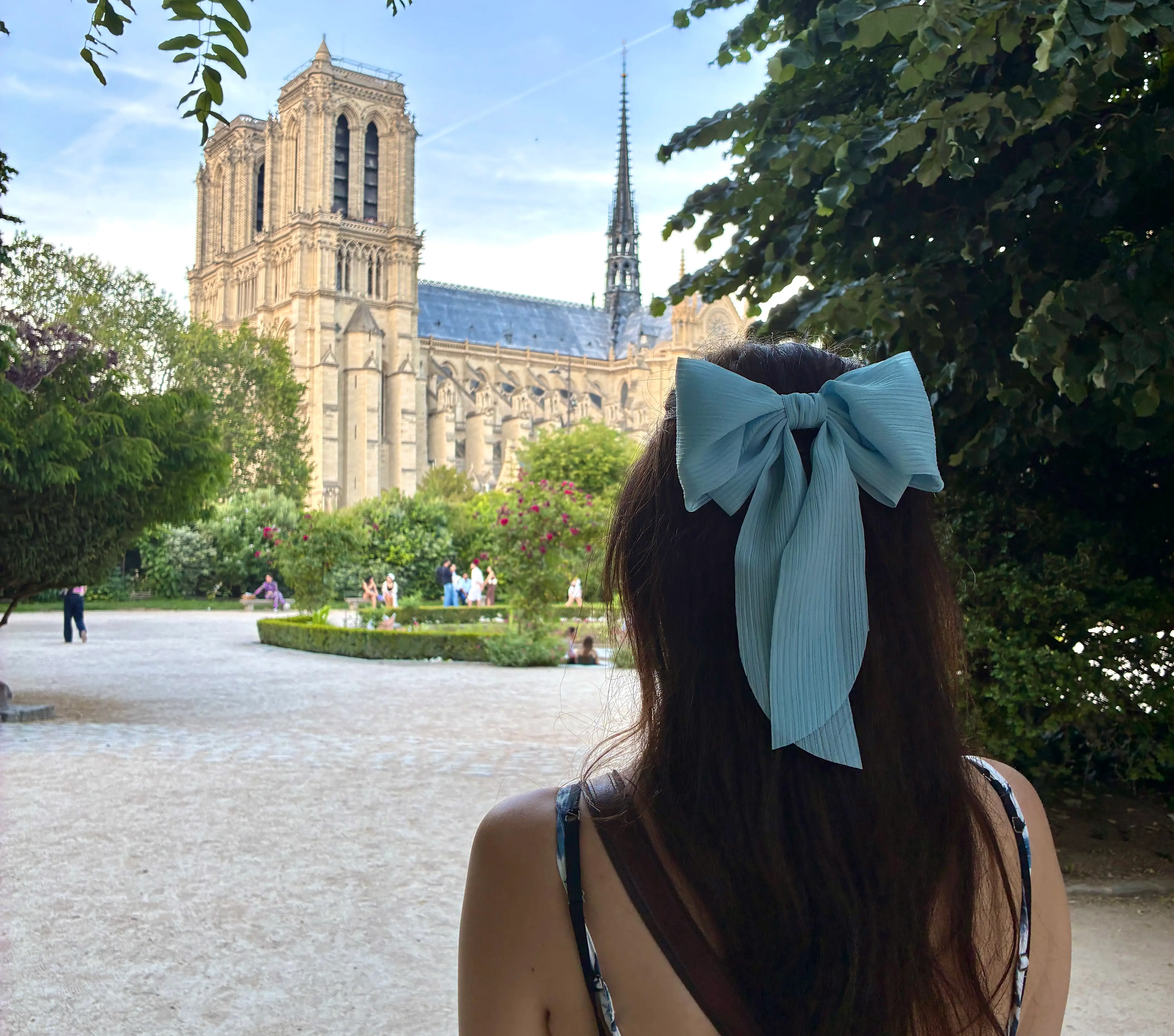 Back of woman wearing bow's head as she looks at Notre Dame