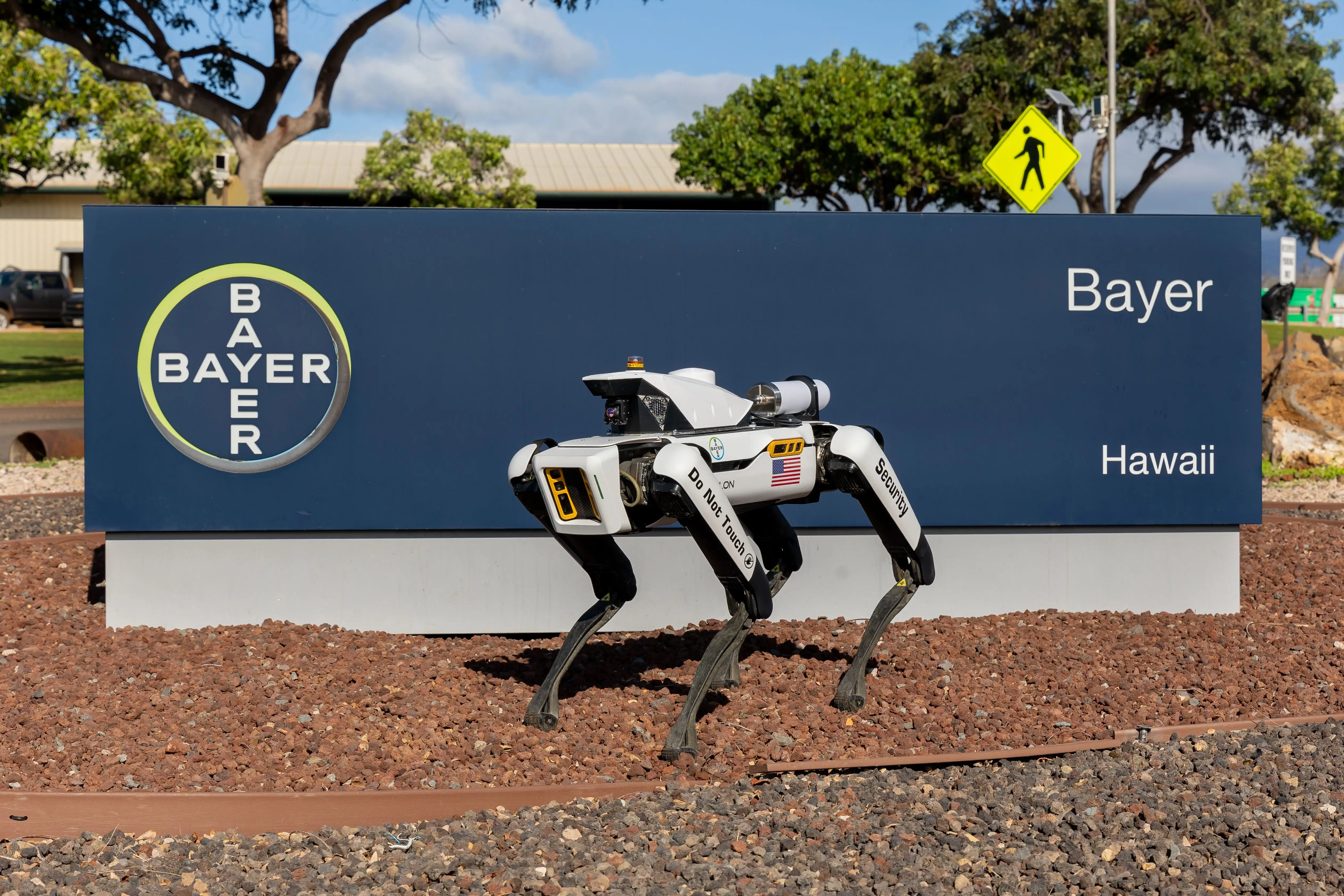 Robot dog