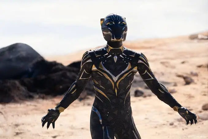 Black Panther Wakanda Forever super hero