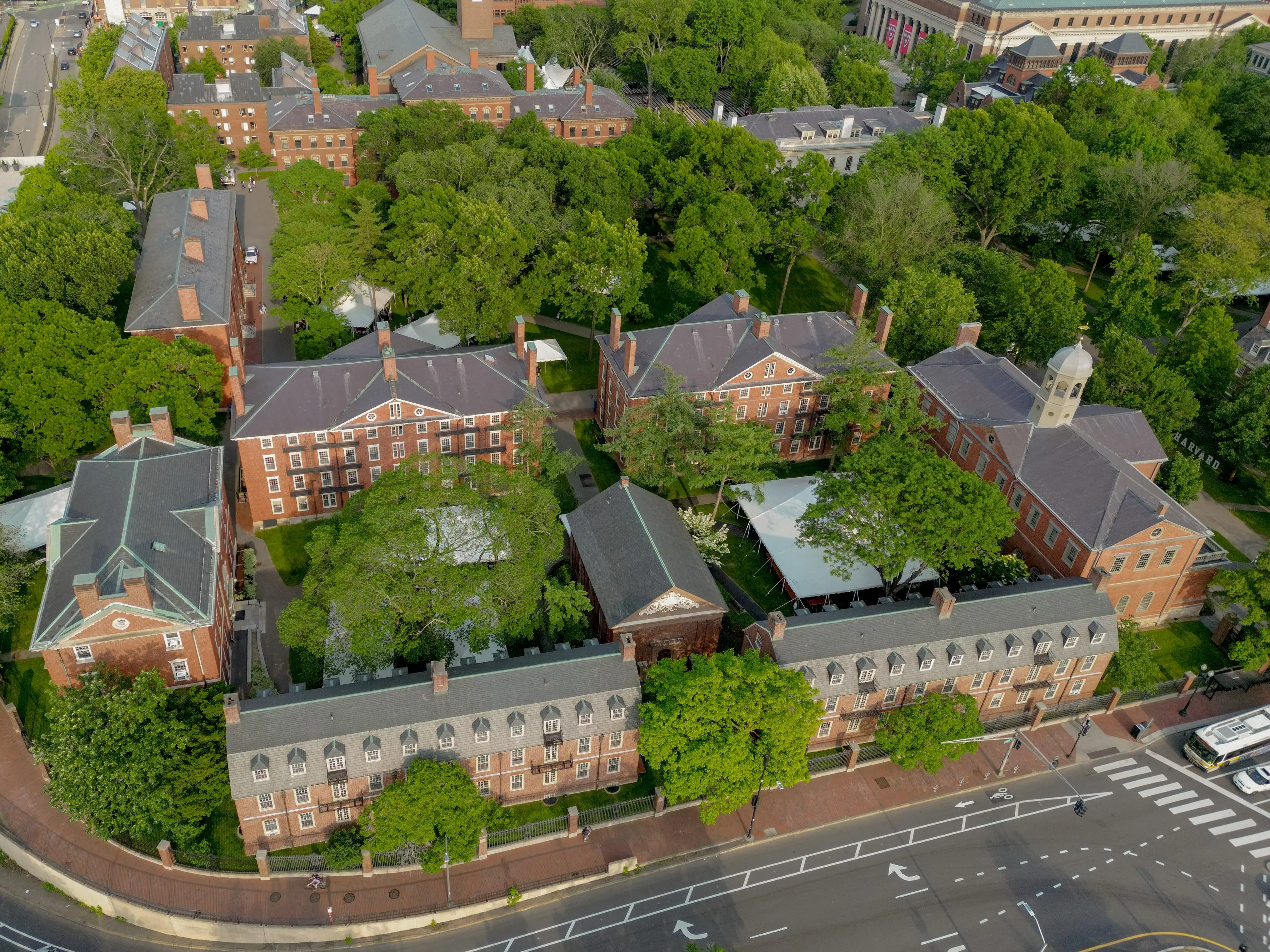 harvard university