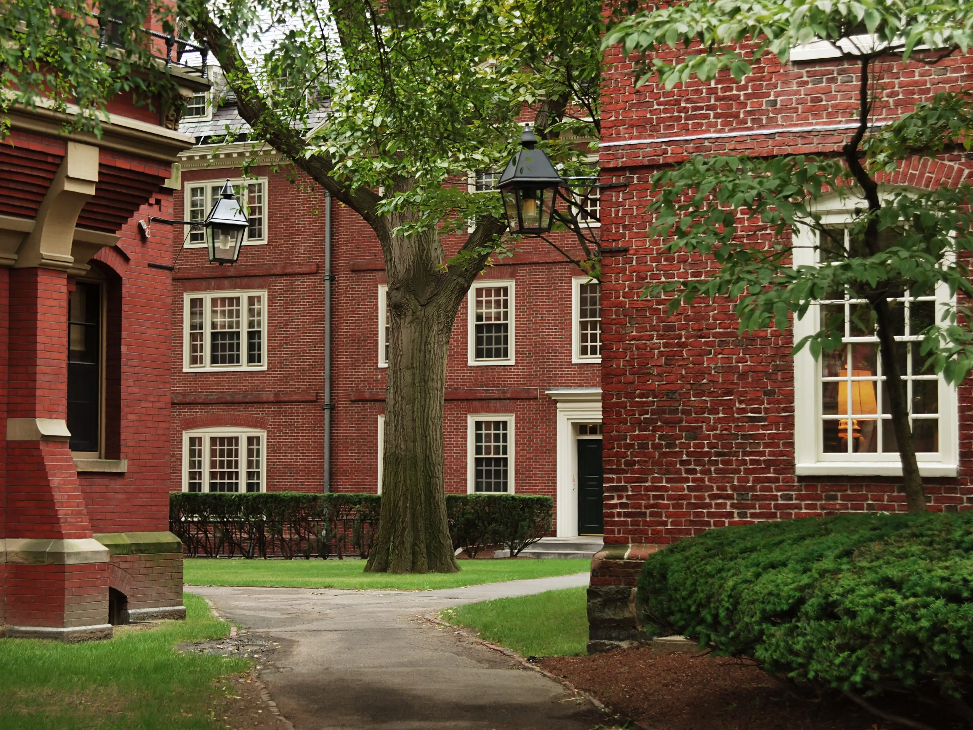 Harvard University