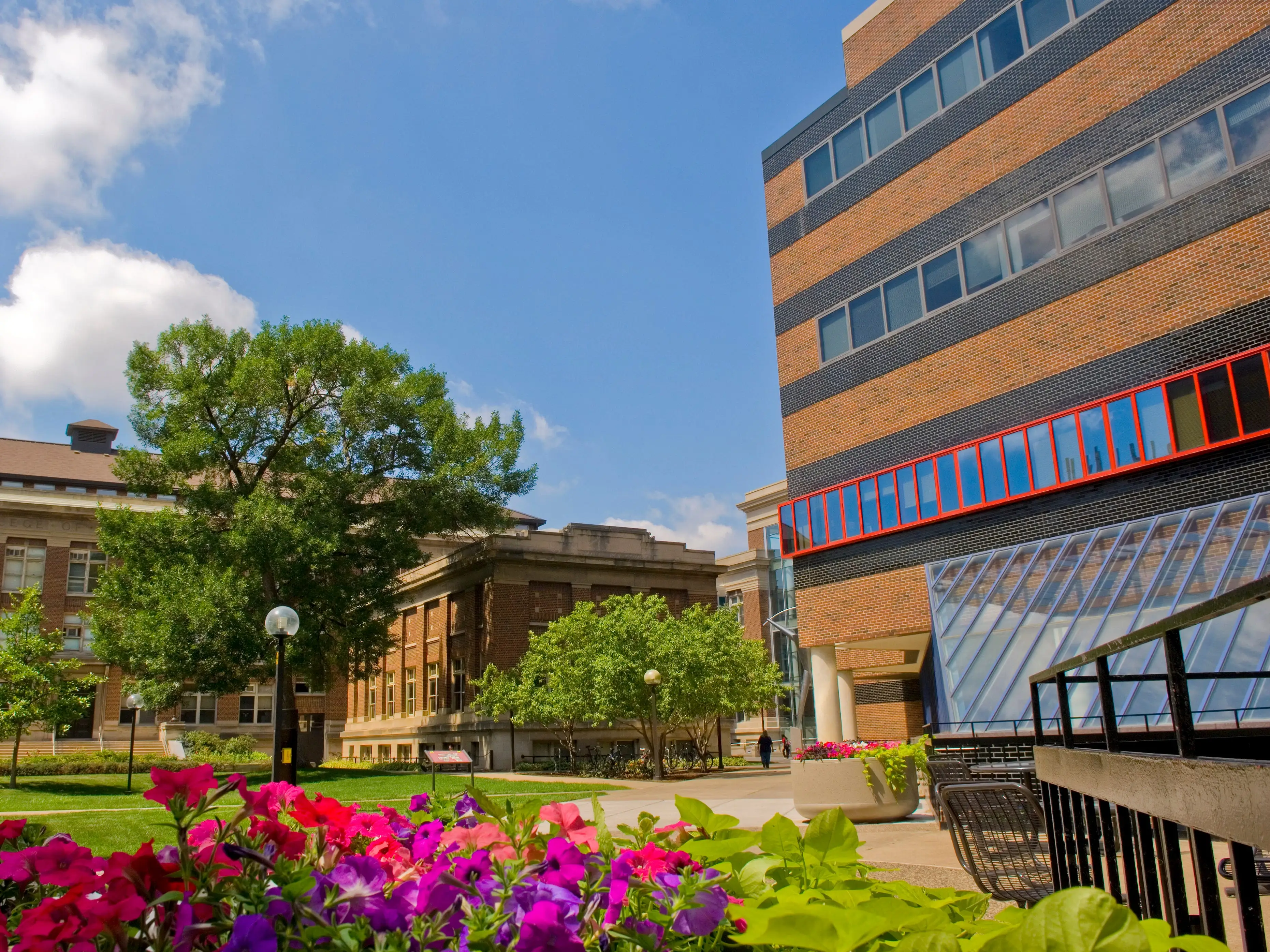 University of Minnesota Twin Cities in Minneapolis