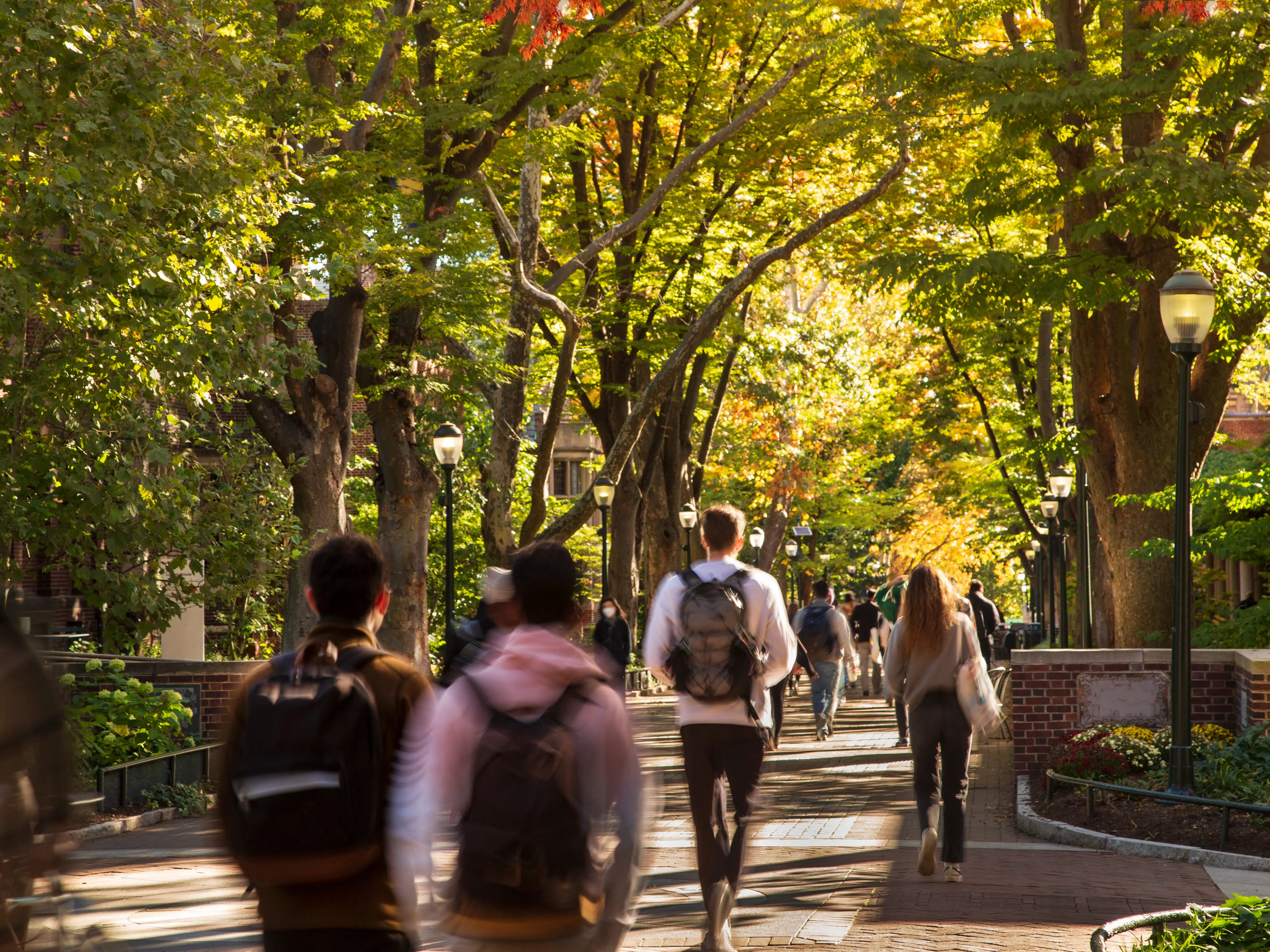 University of Pennsylvania