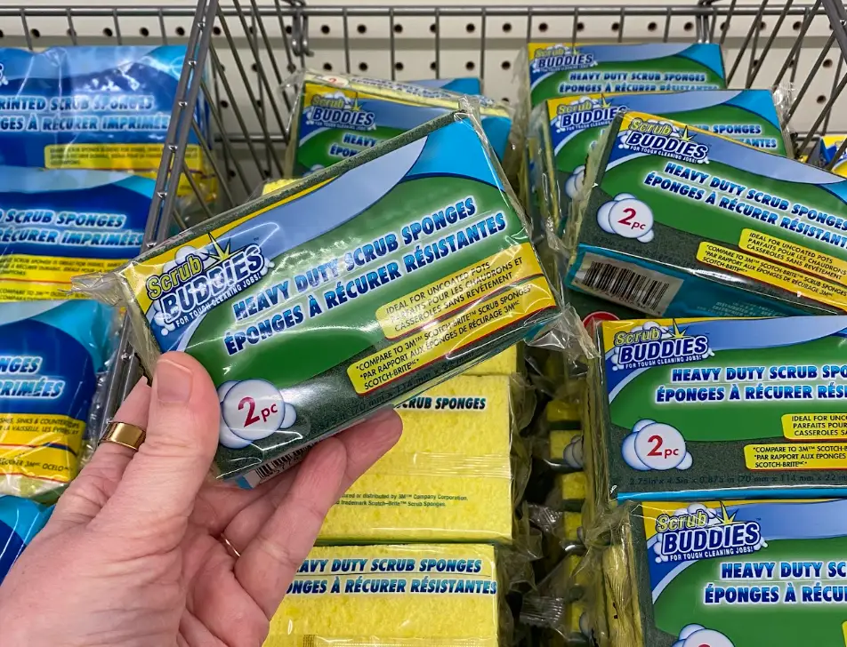 Boxes of Scrub Buddies heavy-duty sponges.