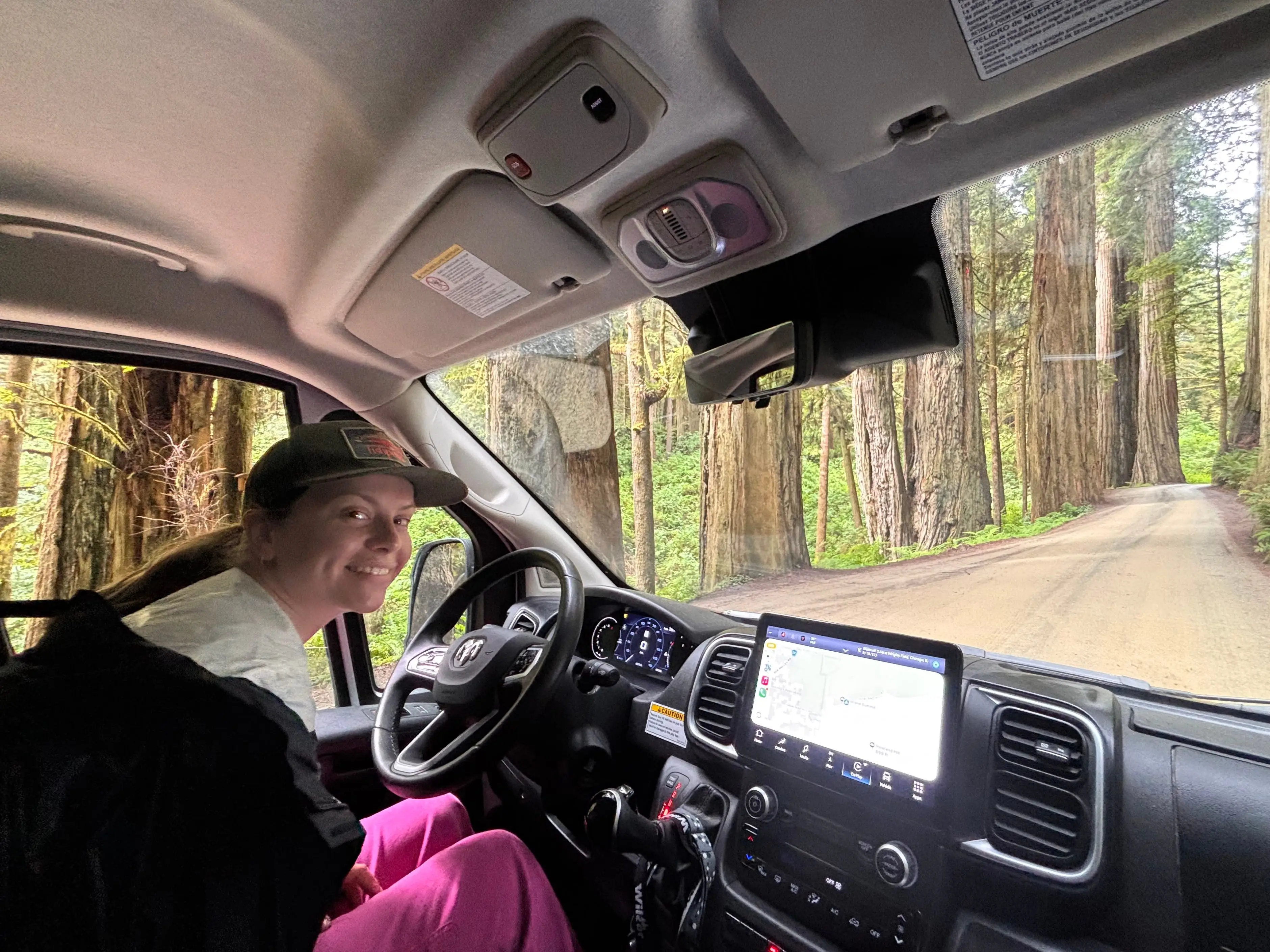 The writer driving a van through Redwood National Park in California.