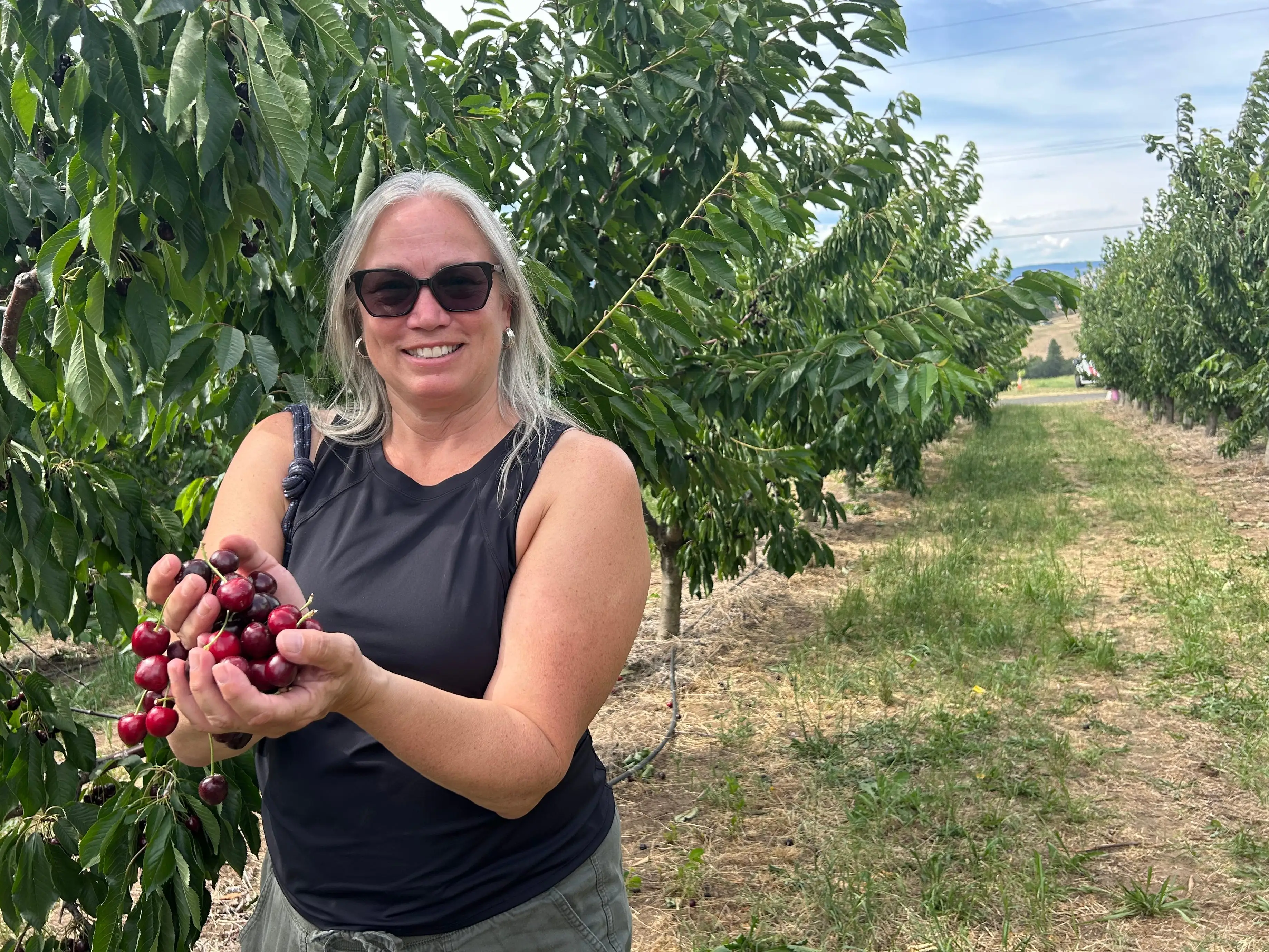 The writer's mother is holding a handful of cherries near the Columbia River in Oregon.