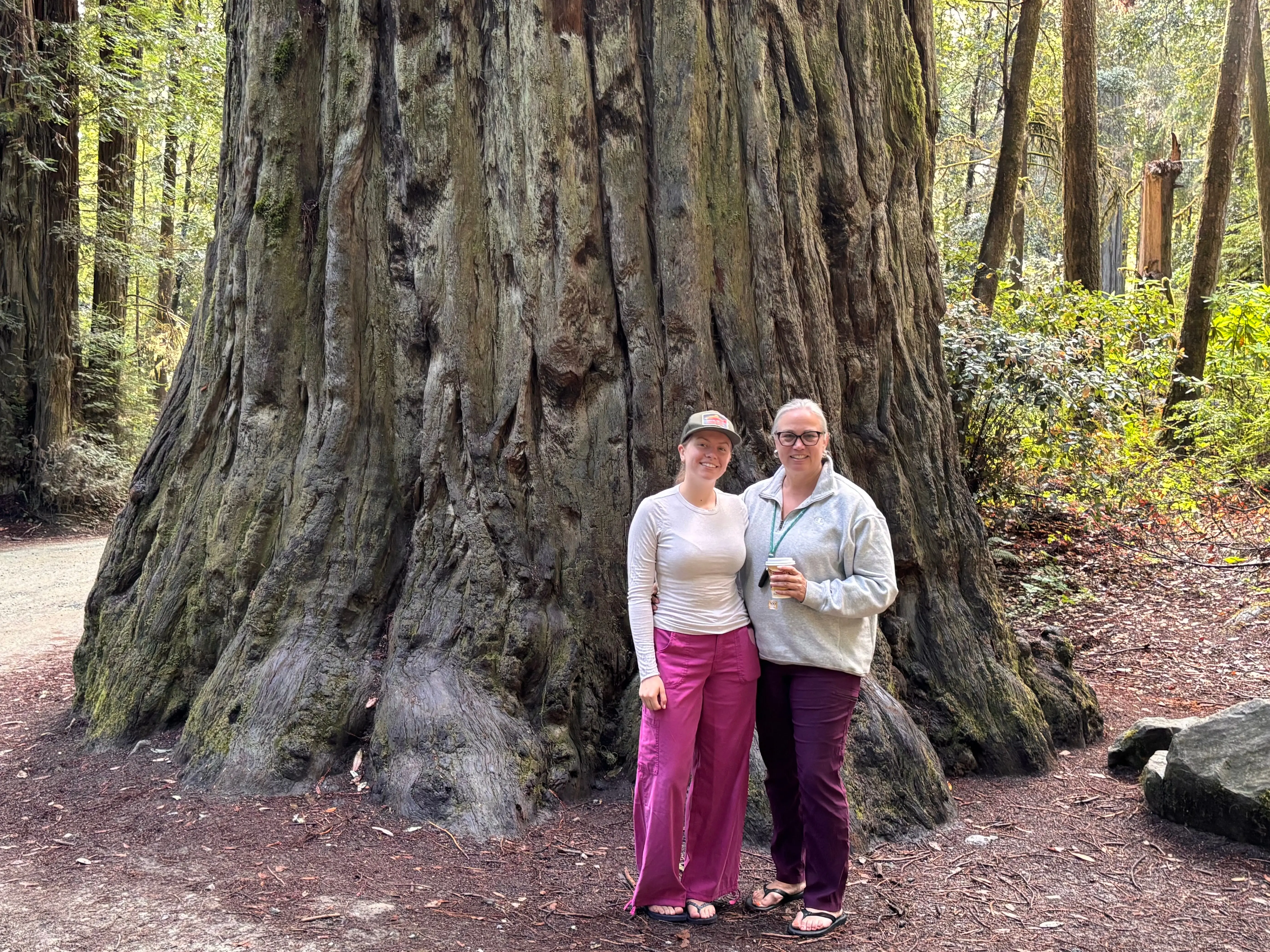 The writer and her mother are standing in front of a large redwood tree in Redwood National Park in California.