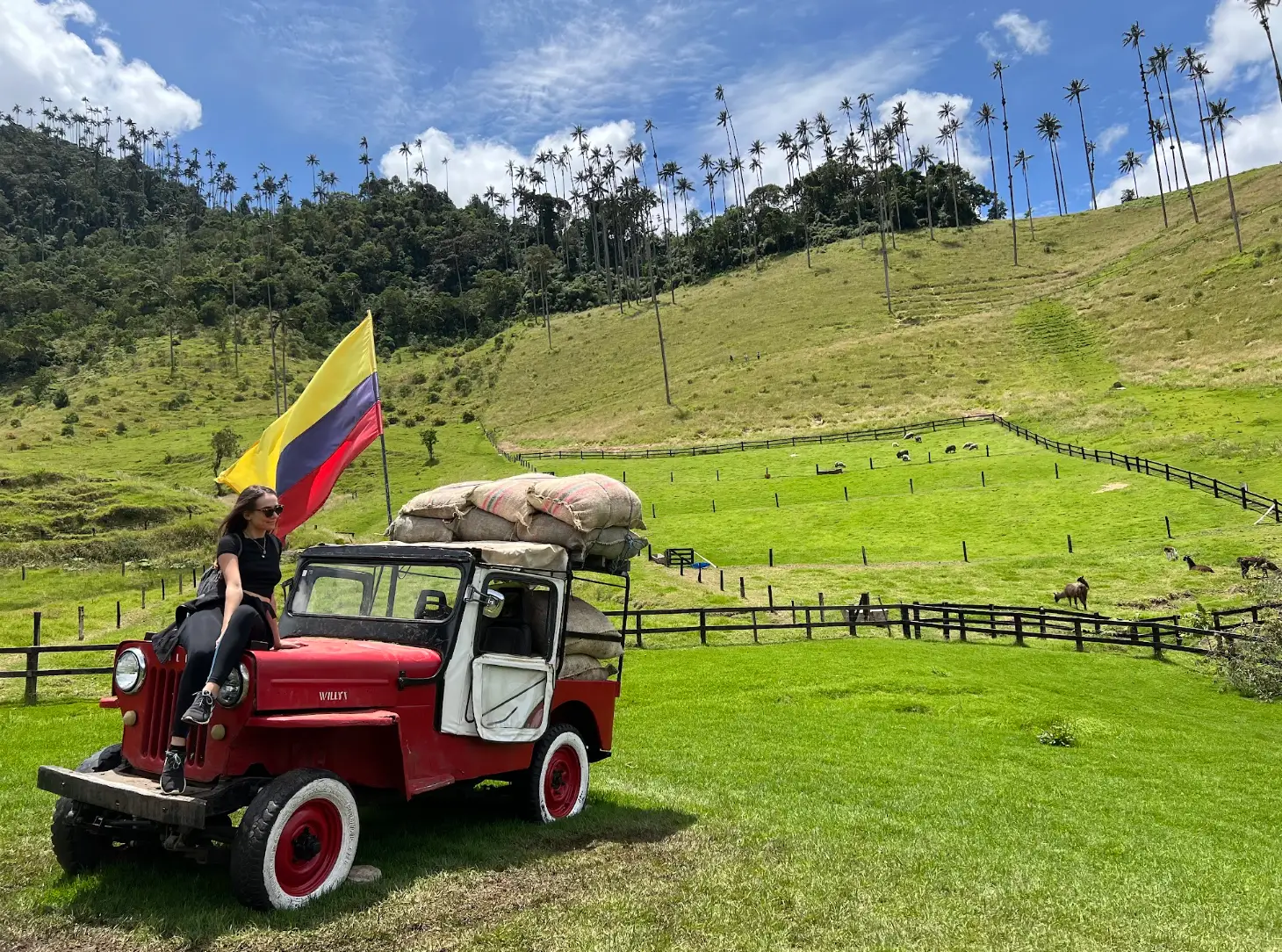 The writer sitting on a small tractor on a field in Colombia, with the Colombian flag visible.