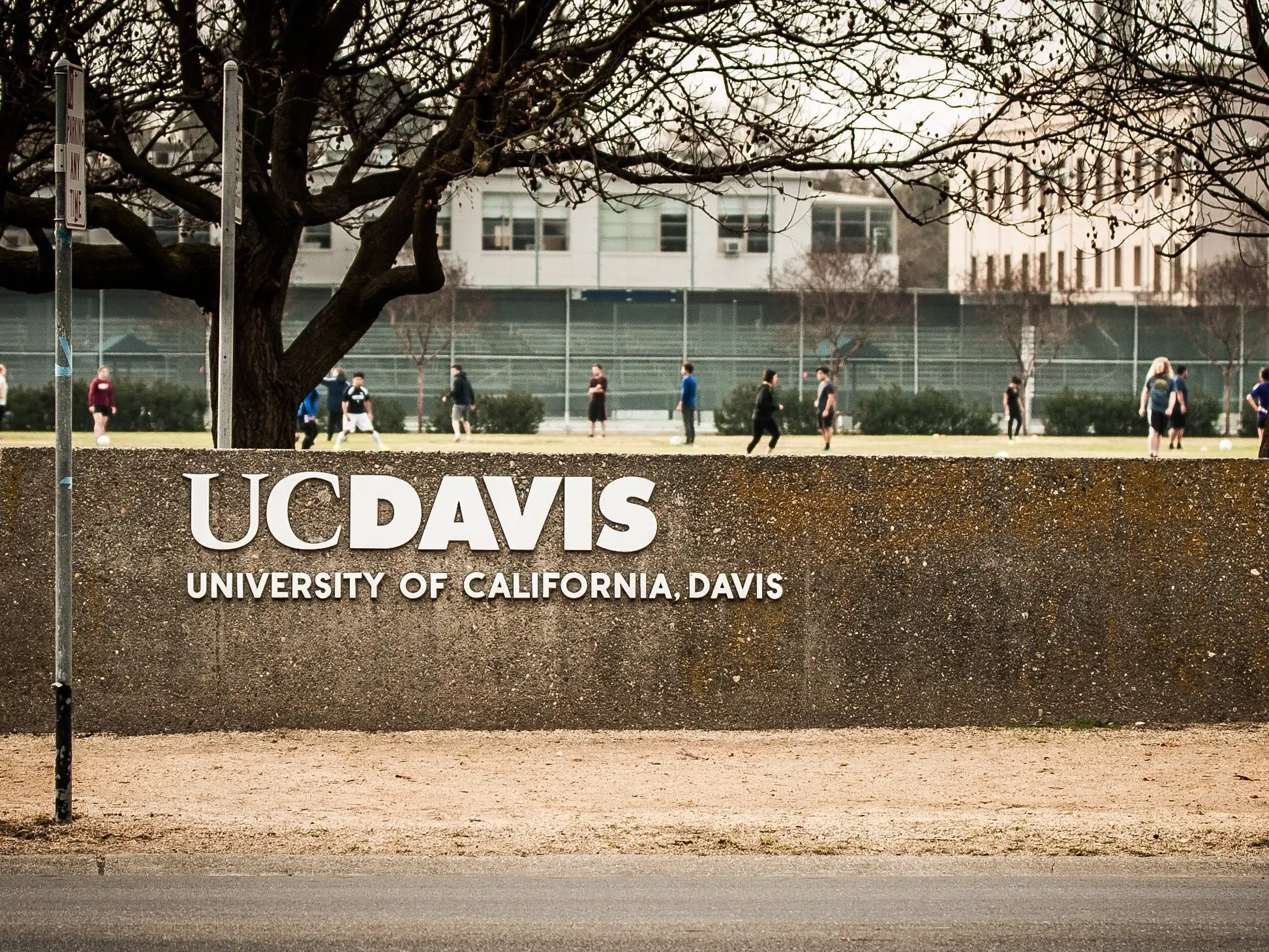 The UC Davis logo with a soccer game and bike riders in the background. University of California at Davis. Davis, California. Taken February 2, 2015.