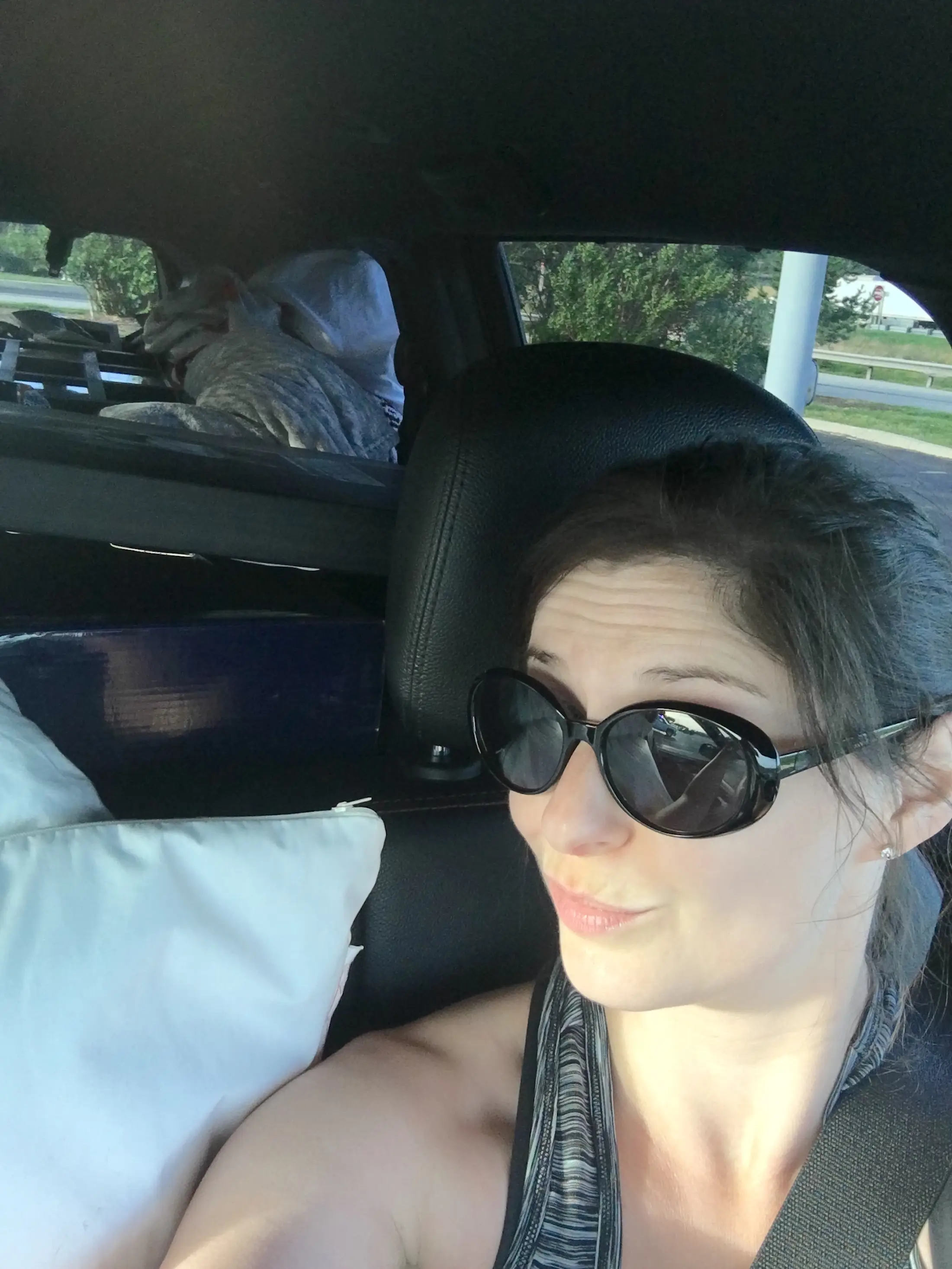 The author takes a selfe in a packed minivan.