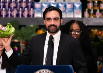 New York City is on track to launch 5 city-run grocery stores. Here’s what happened when other cities tried them.
