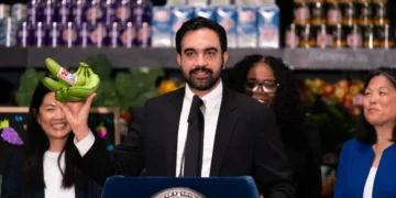 New York City is on track to launch 5 city-run grocery stores. Here’s what happened when other cities tried them.