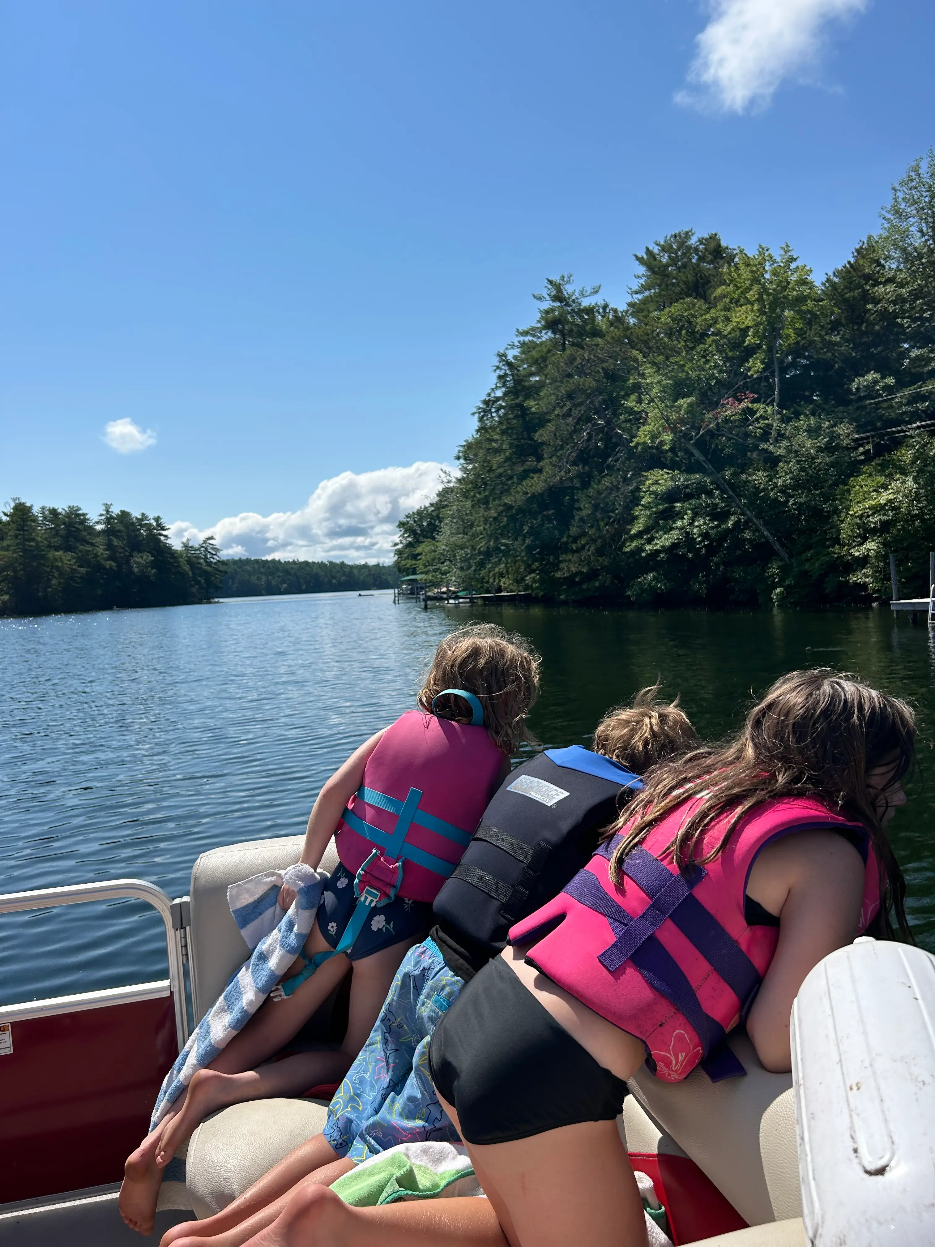 The author's children and her nephew hang off the edge of a boat on the lake.