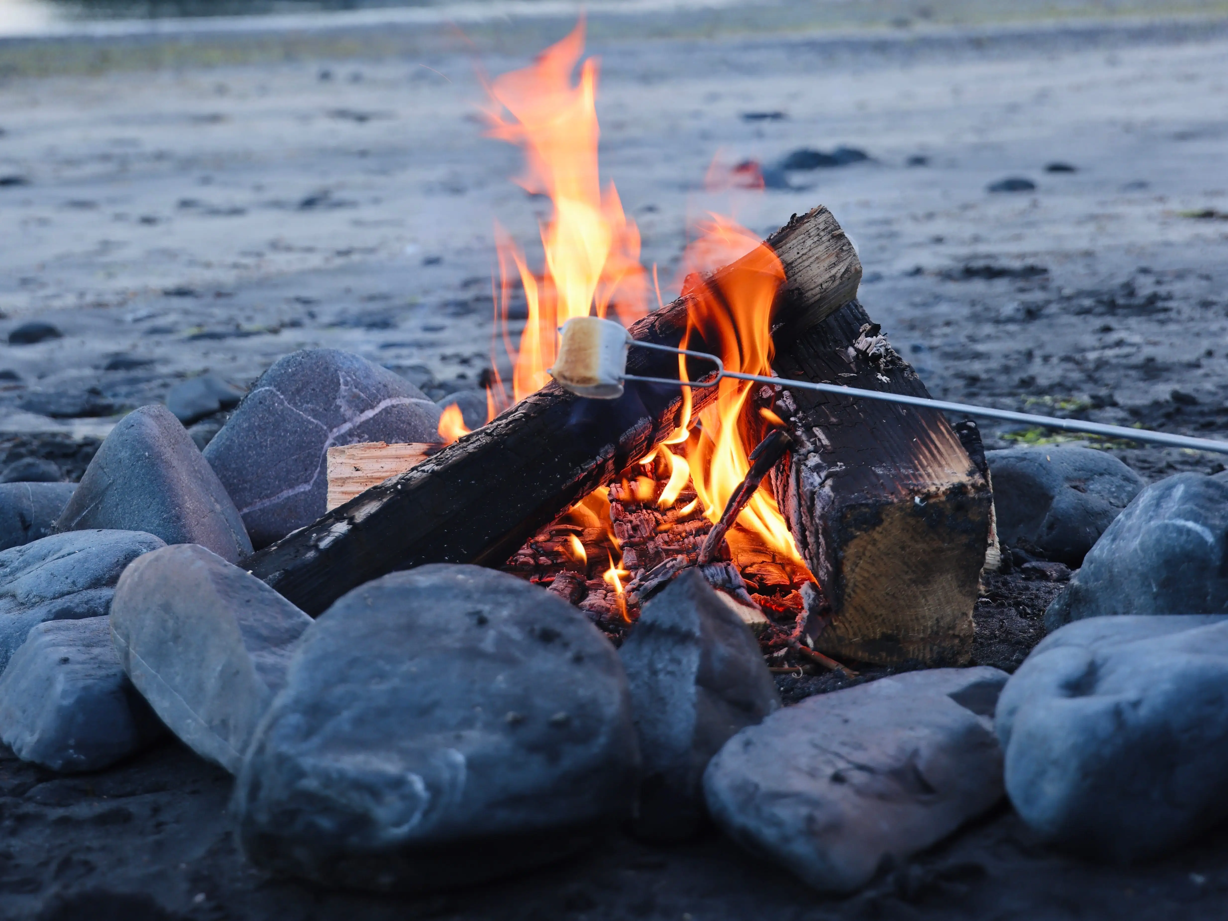 Campfire with a marshmallow roasting on a skewer beside a rocky beach and forested shoreline.