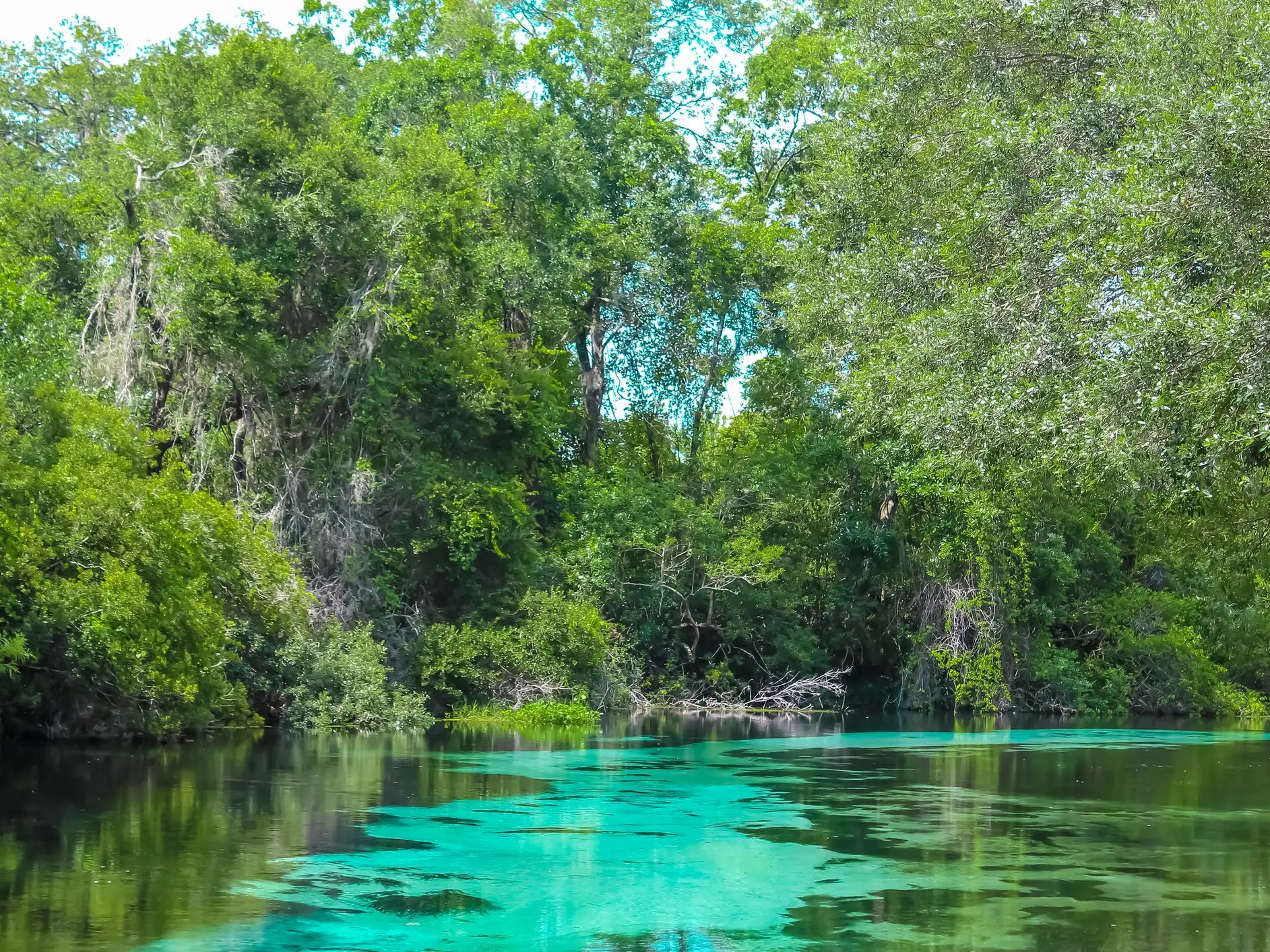 Weeki Wachee Springs State Park in Spring Hill, Florida