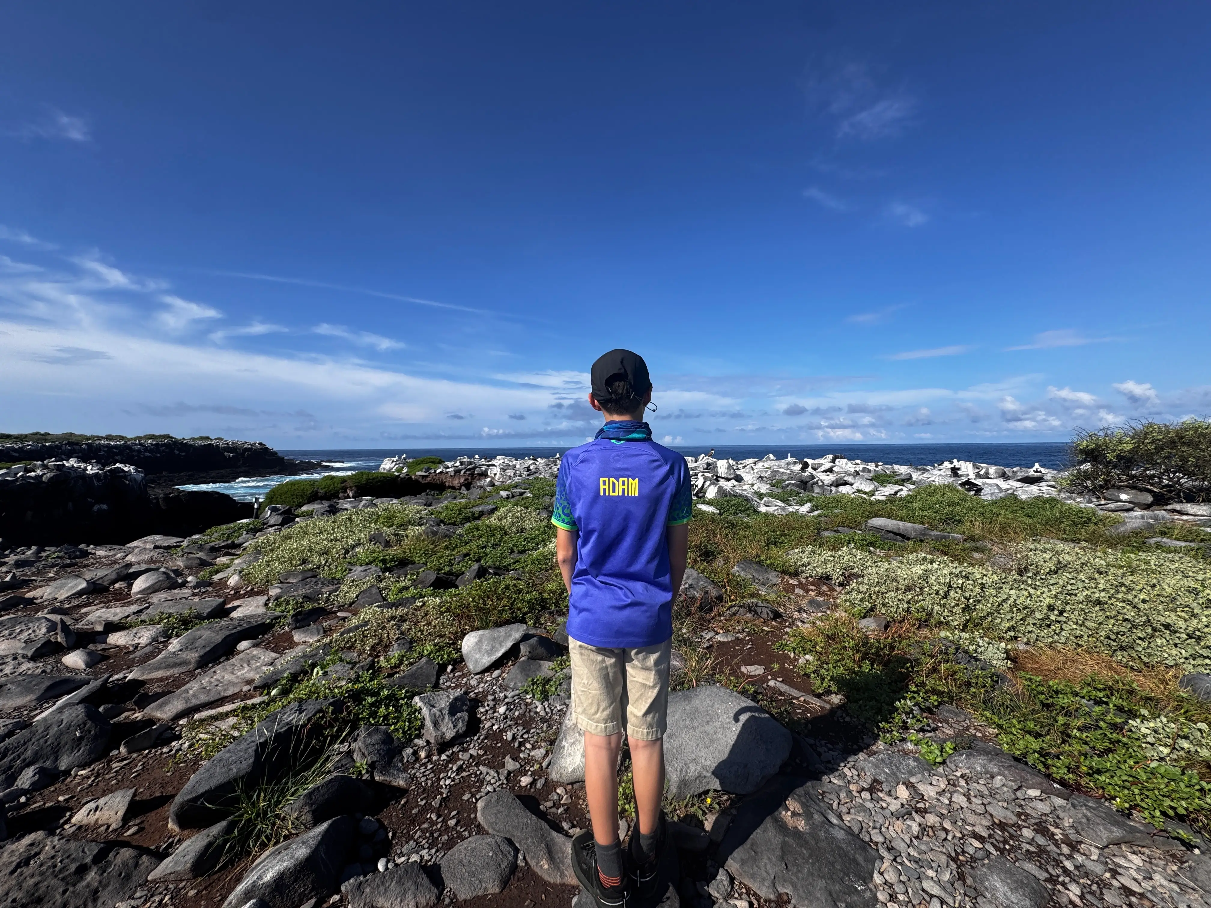 The authors son takes in the view while visiting the Galapagos Islands.