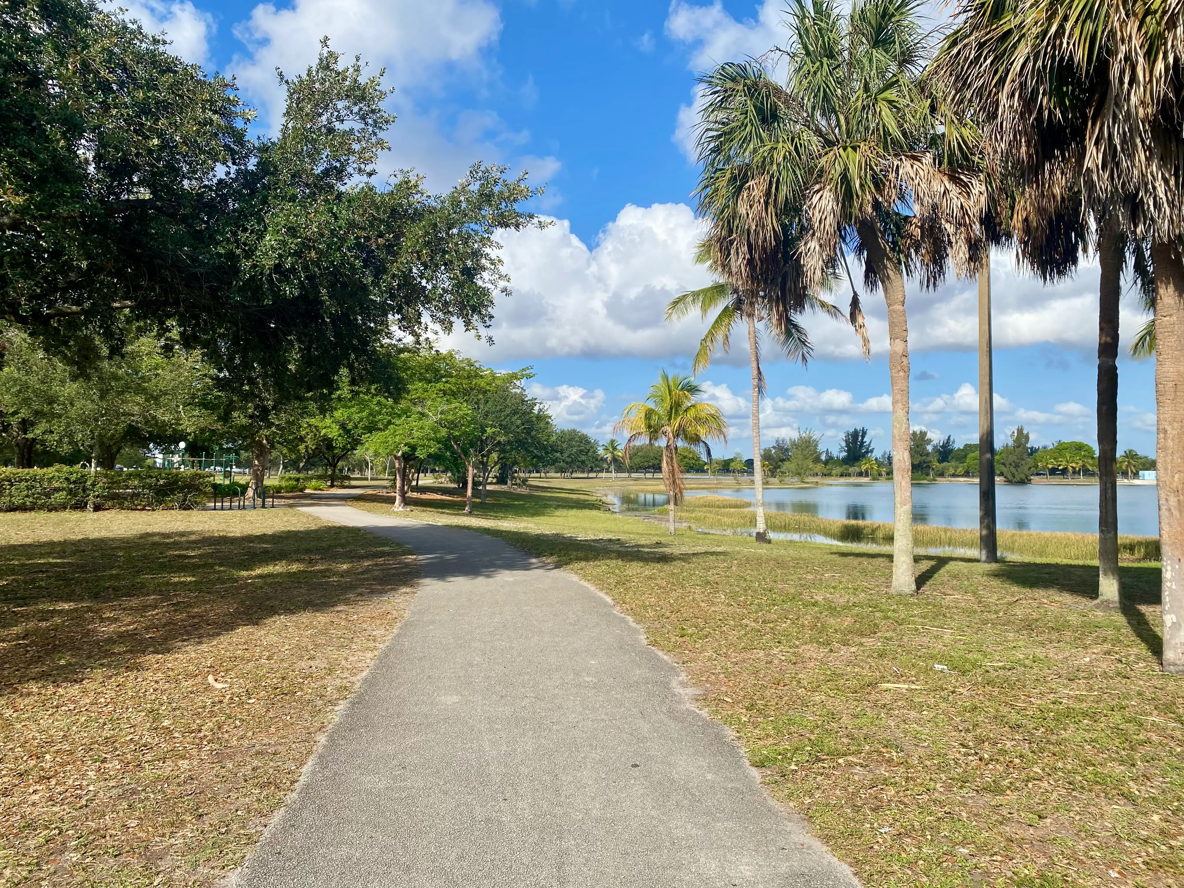 Palm trees next to walkway in Miami