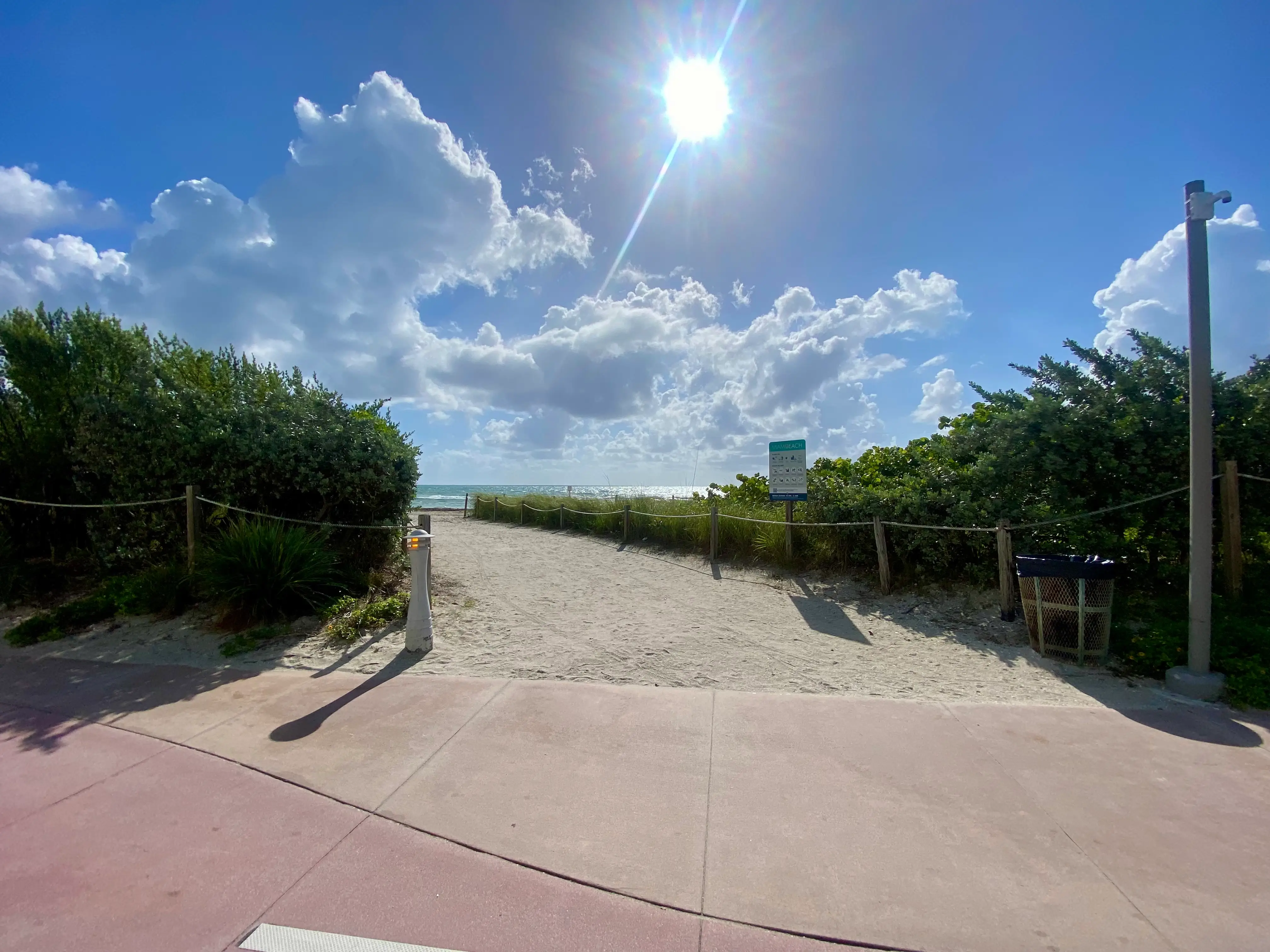 View of sand, trees at Miami Beach