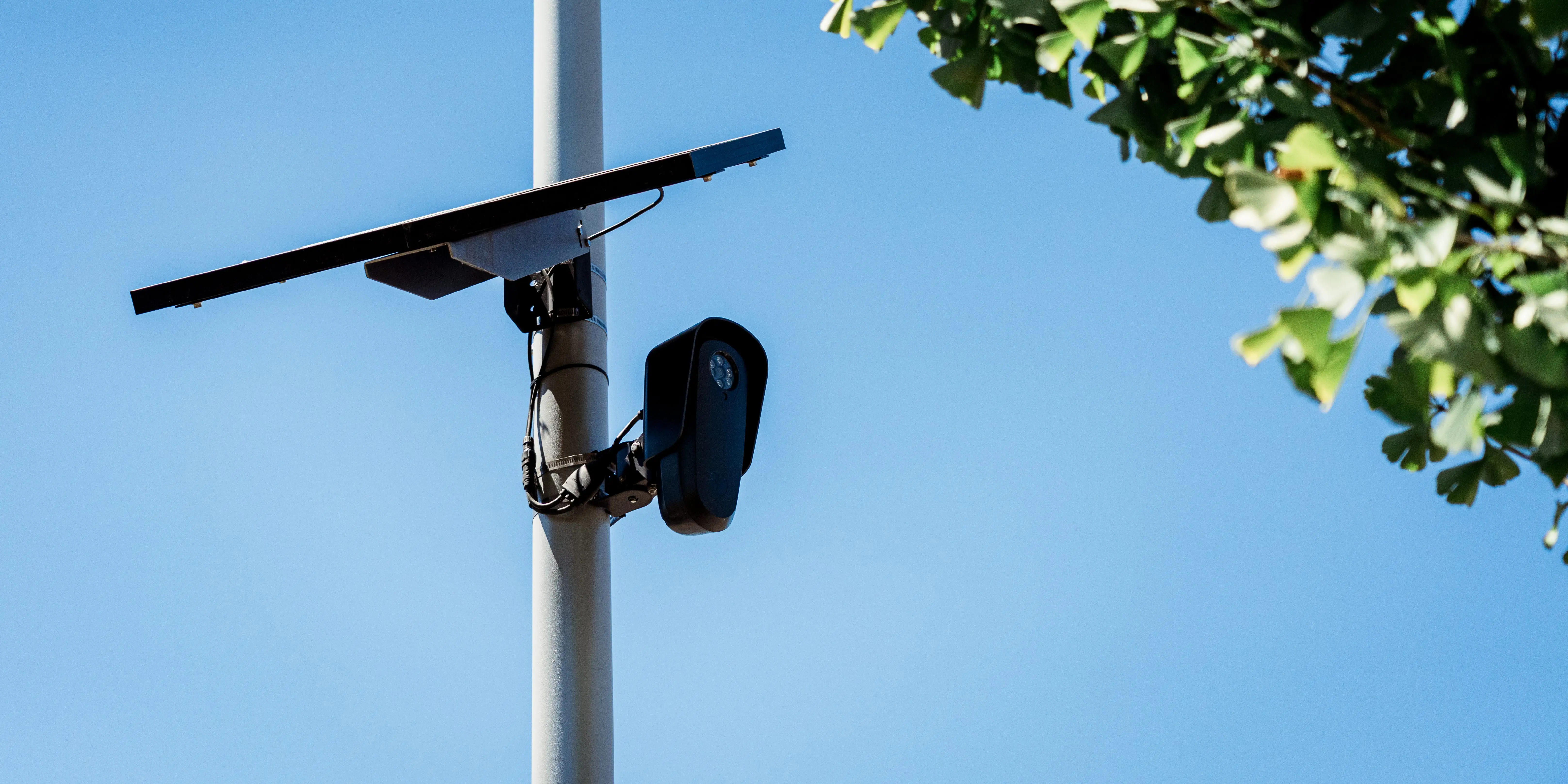 Flock's cameras capture license plate characters and vehicle characteristics like color and model.