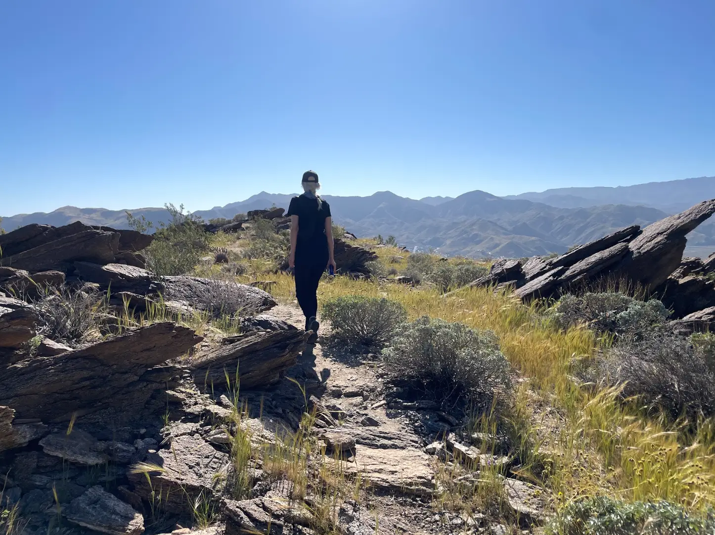 A person walking down a sandy path in the desert, with mountains in the background.
