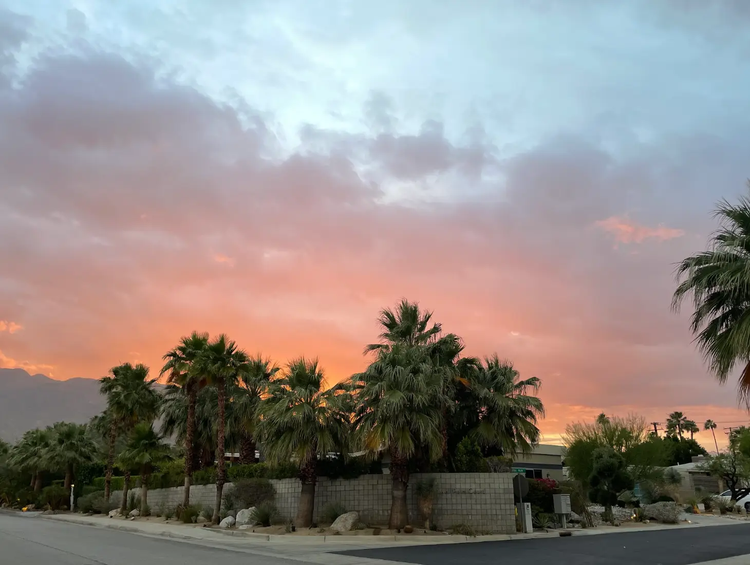 A Palm Springs street at sunset, with houses and palm trees in the background.