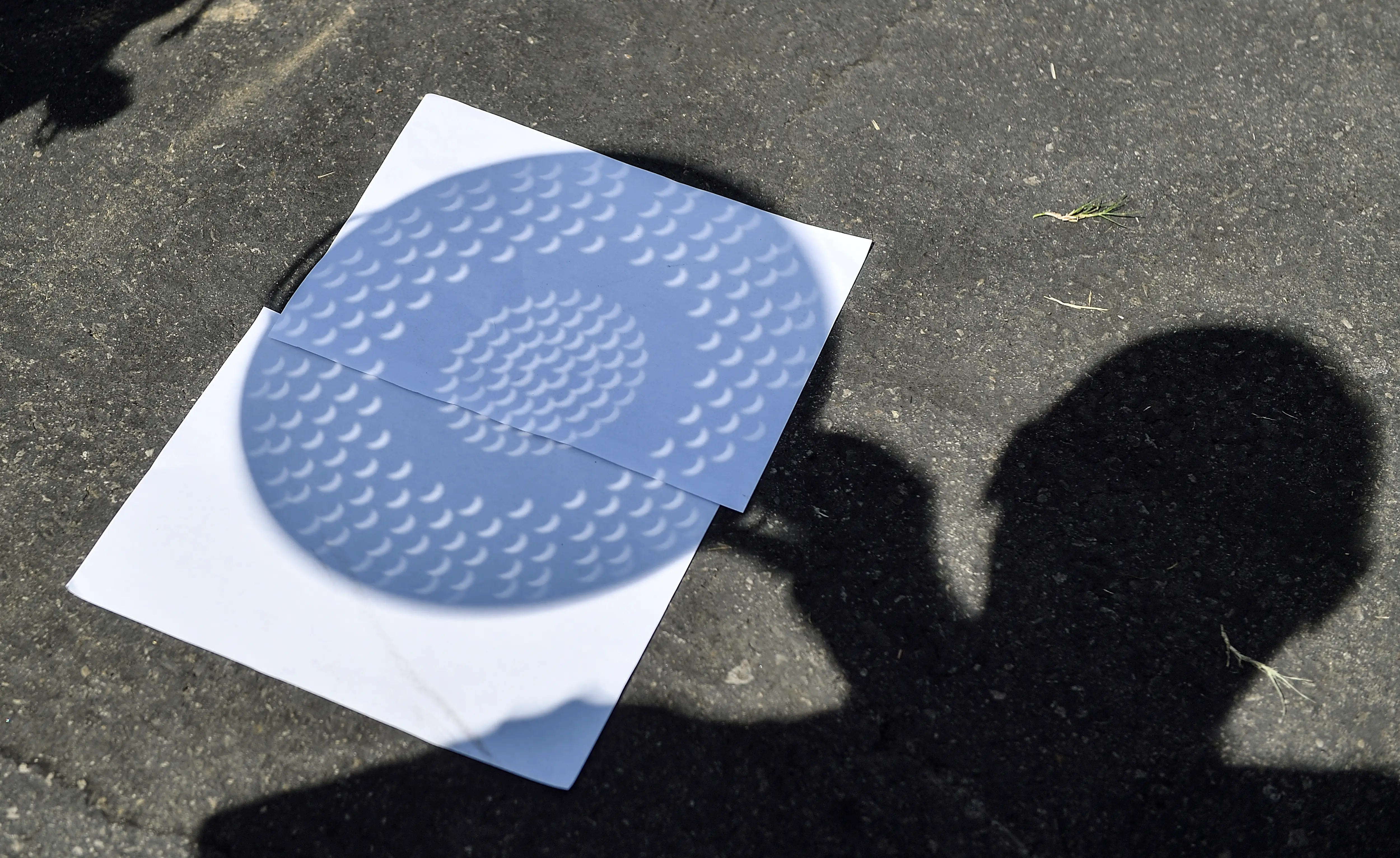 Crescent-shaped light patterns are projected onto a white sheet of paper on sunlit asphalt beside a person’s shadow.