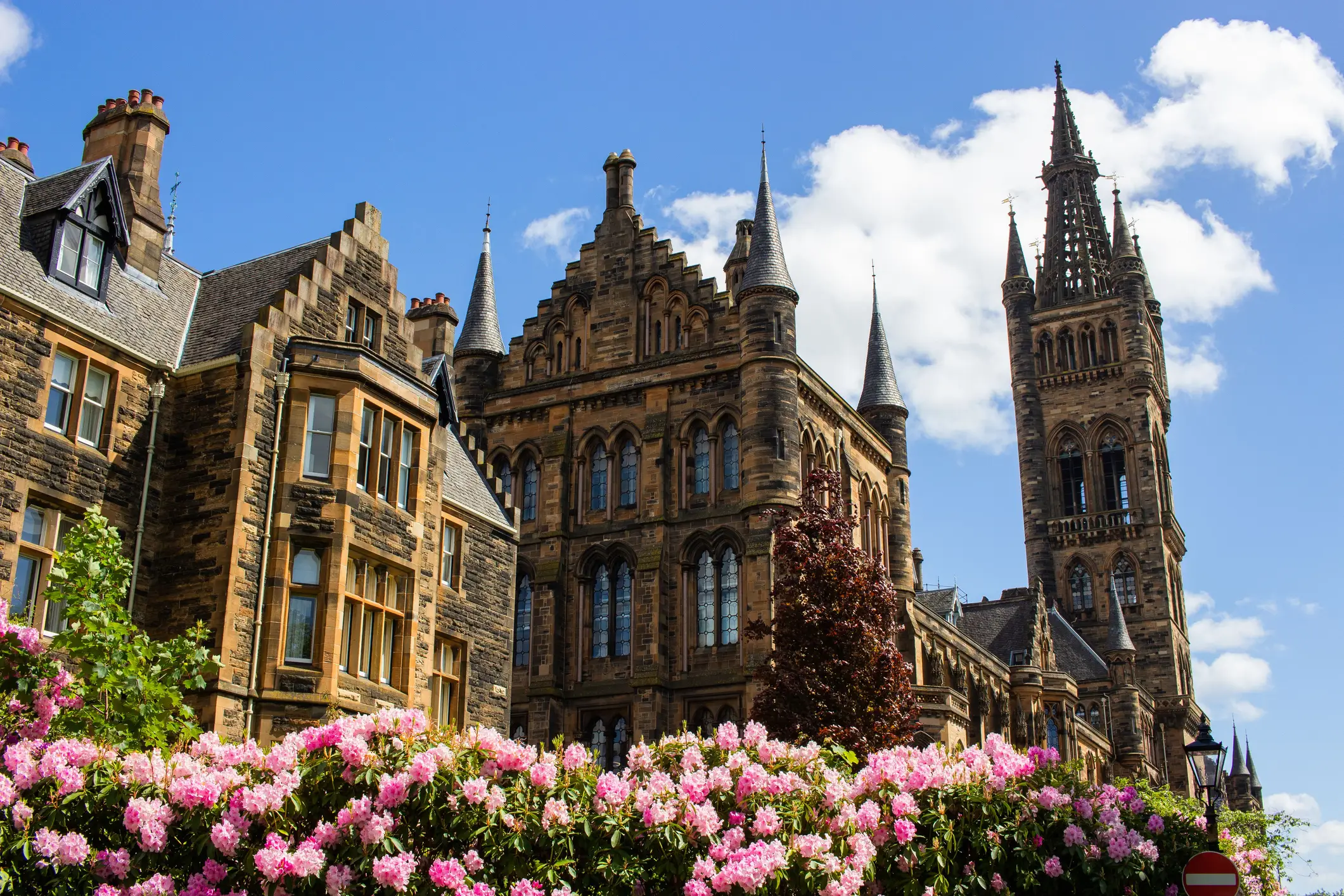 The University of Glasgow against blue cloudy sky with pink flowers in the foreground