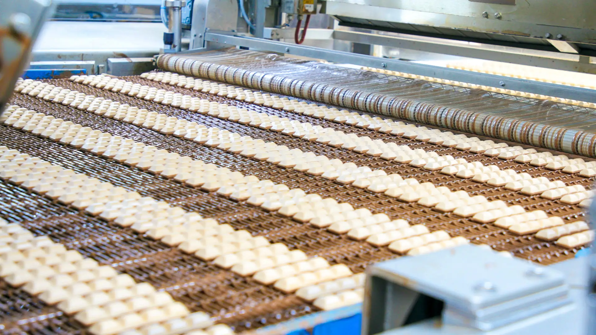 Hundreds of chocolates on a production line in a Ferrero factory.