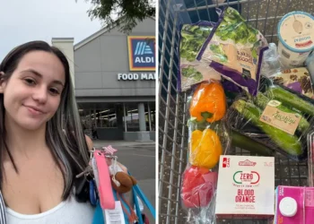 I’m a recent college grad who keeps my grocery bill to $30 a week. Here are 9 Aldi items I always buy.